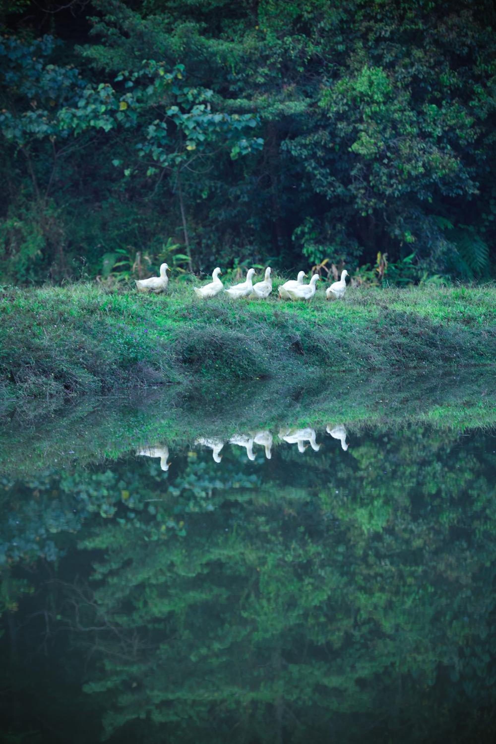 Three Hills Resort & Spa, Coorg