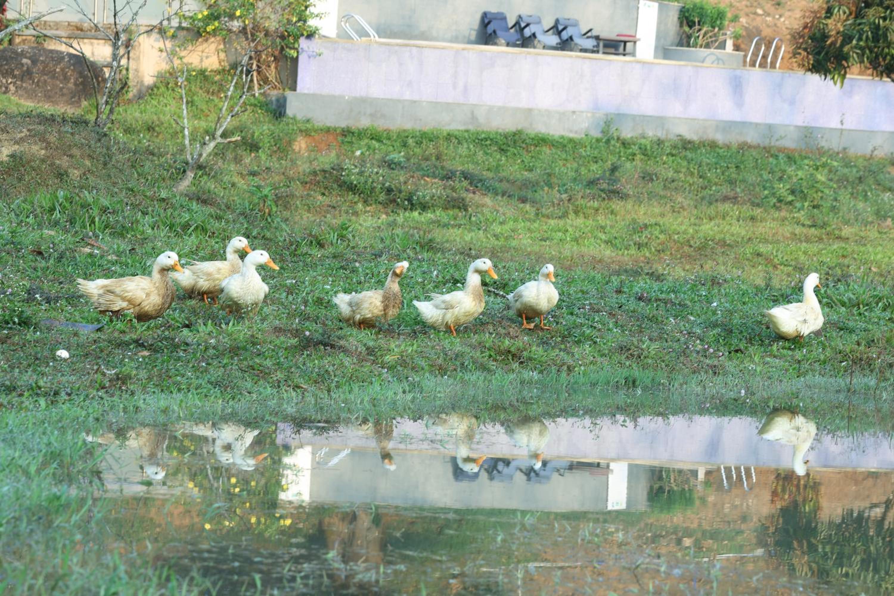 Three Hills Resort & Spa, Coorg