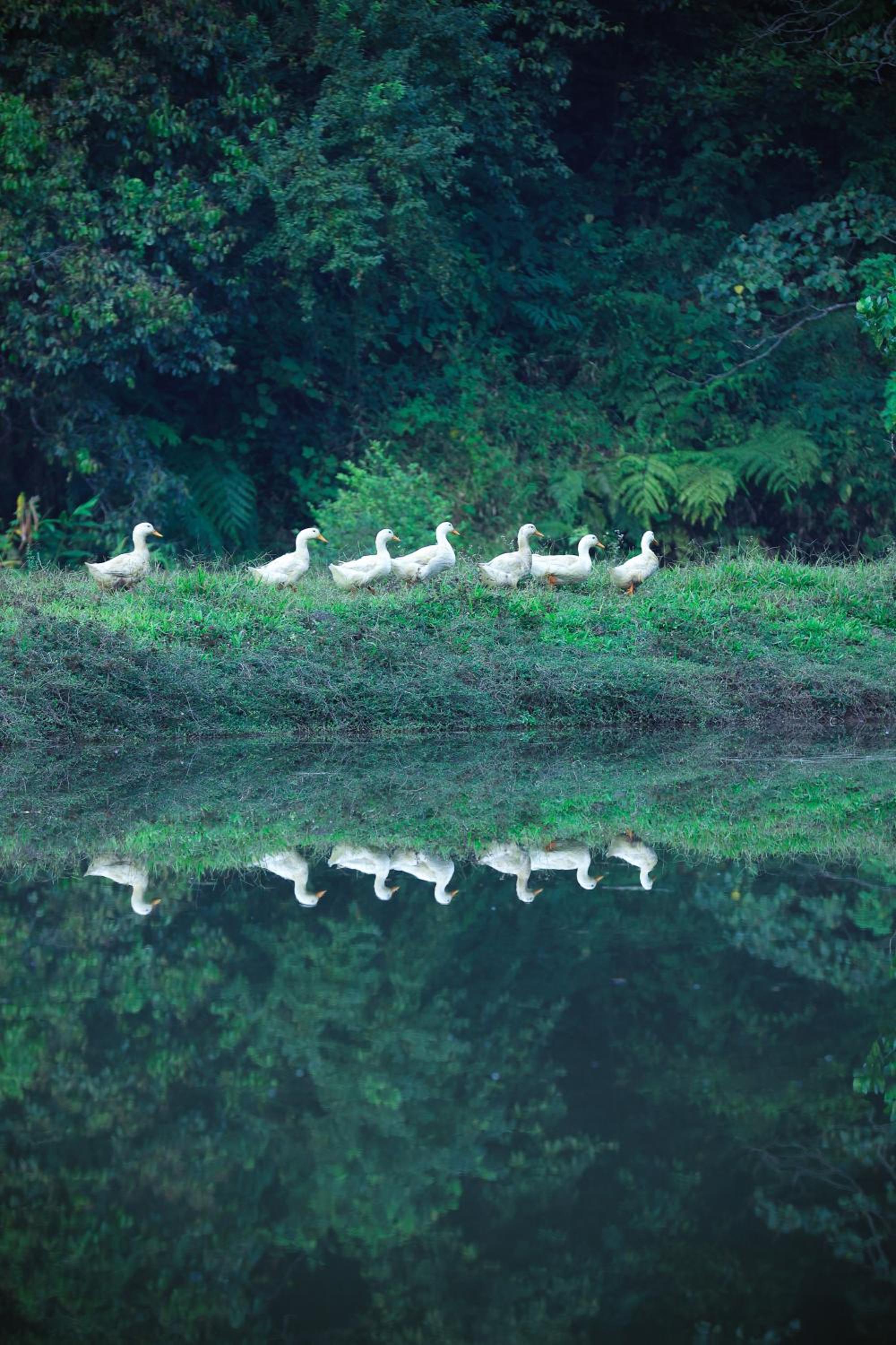 Three Hills Resort & Spa, Coorg