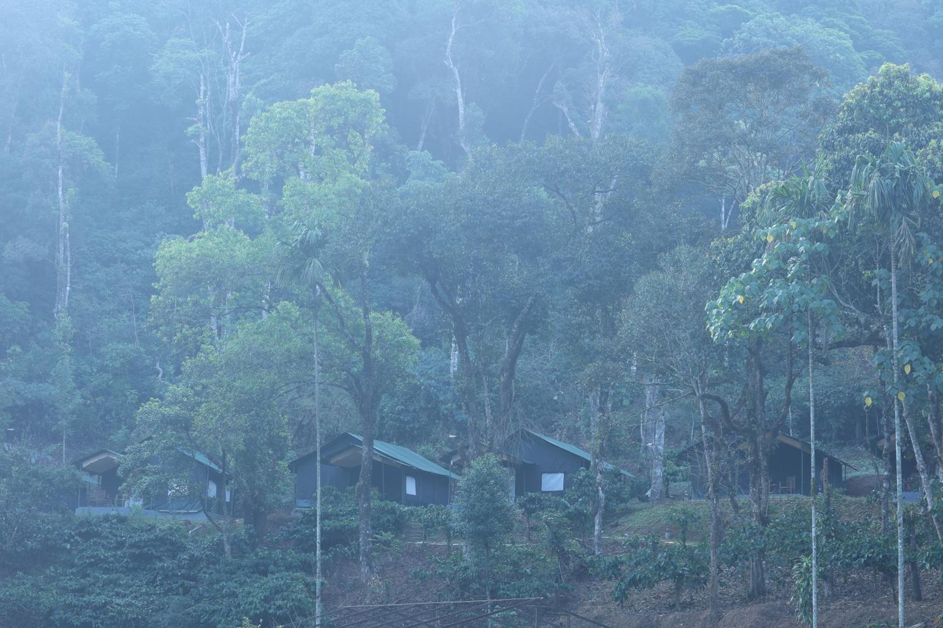Three Hills Resort & Spa, Coorg