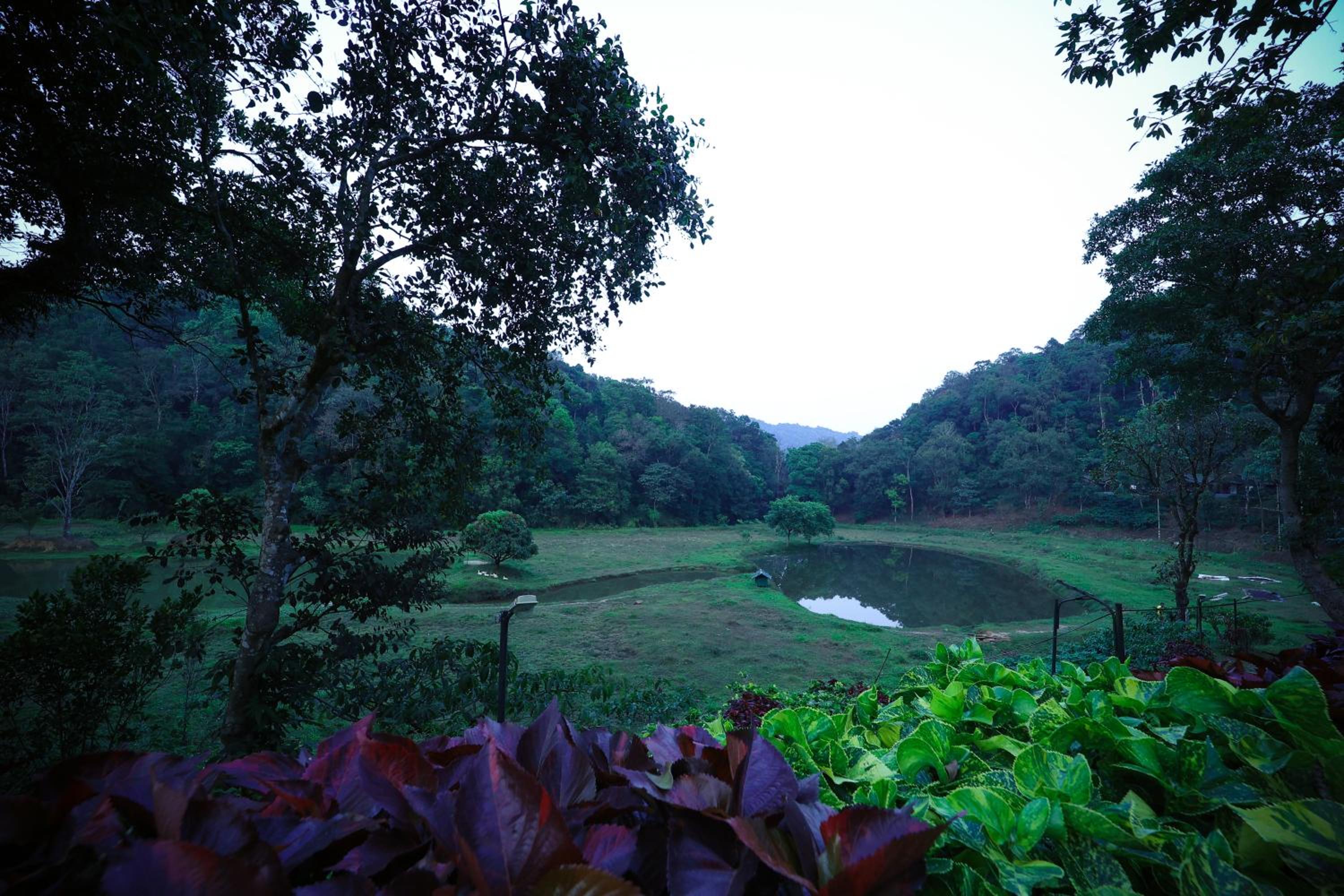 Three Hills Resort & Spa, Coorg