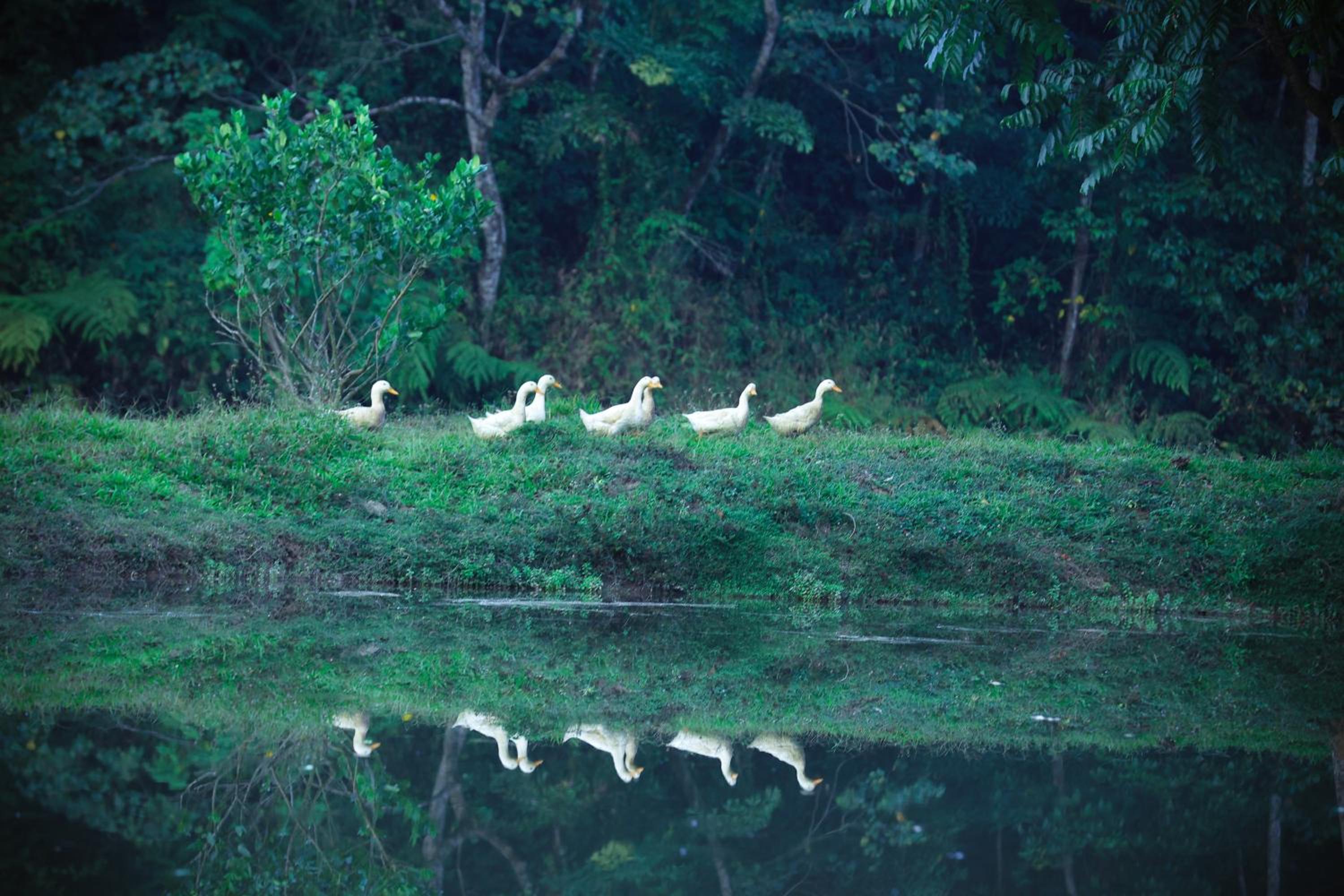 Three Hills Resort & Spa, Coorg
