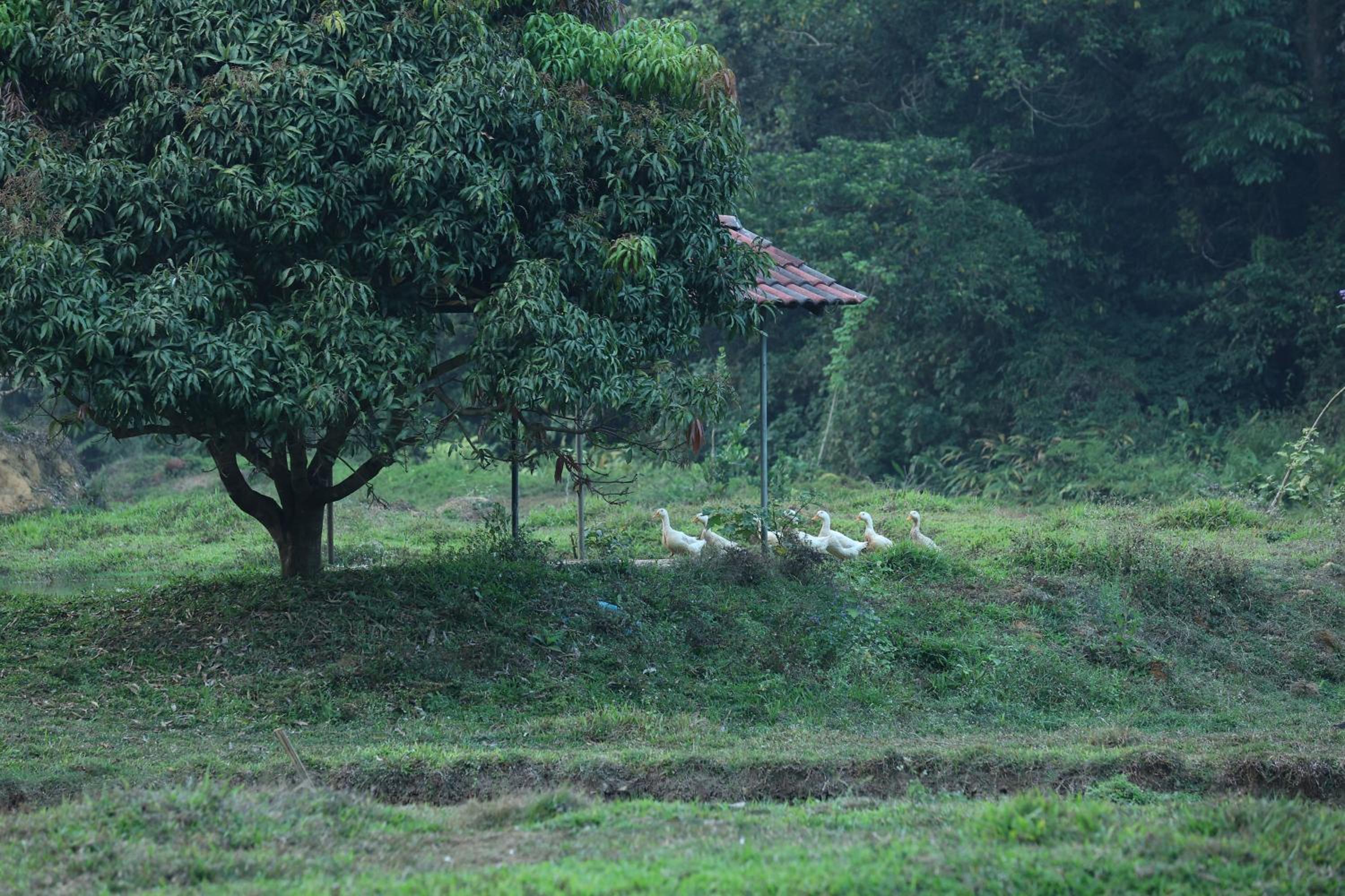Three Hills Resort & Spa, Coorg
