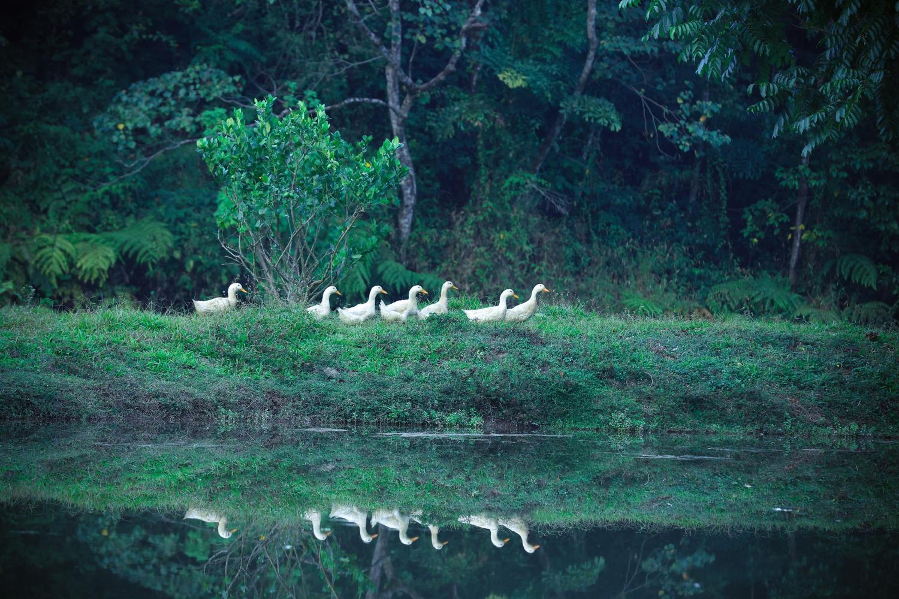 Three Hills Resort & Spa, Coorg