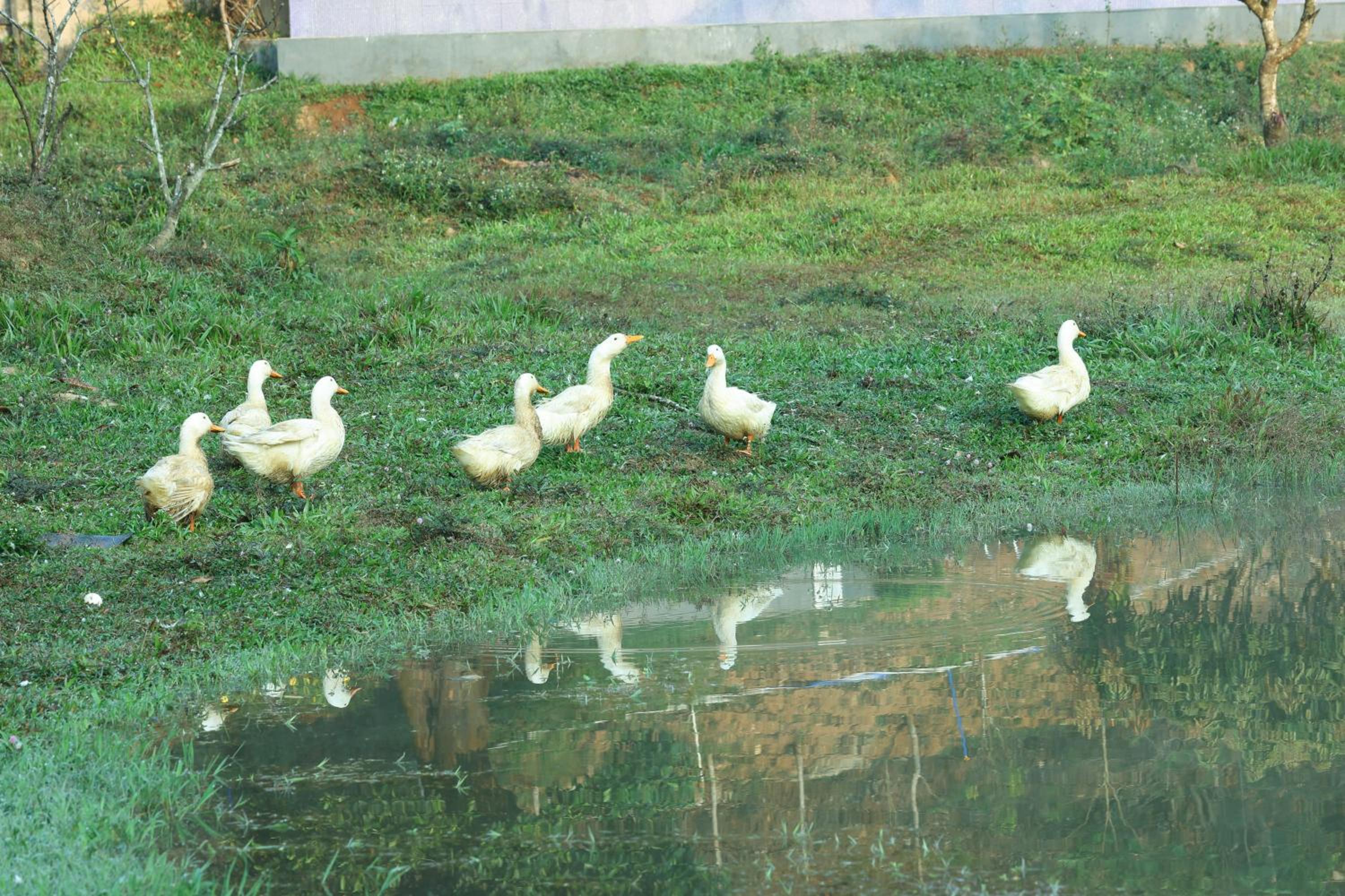 Three Hills Resort & Spa, Coorg