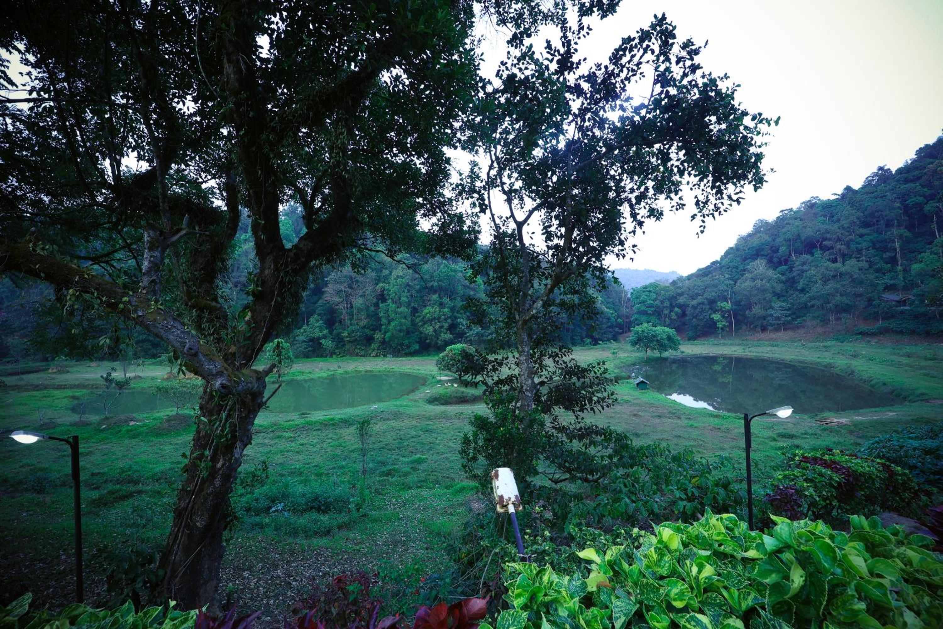 Three Hills Resort & Spa, Coorg