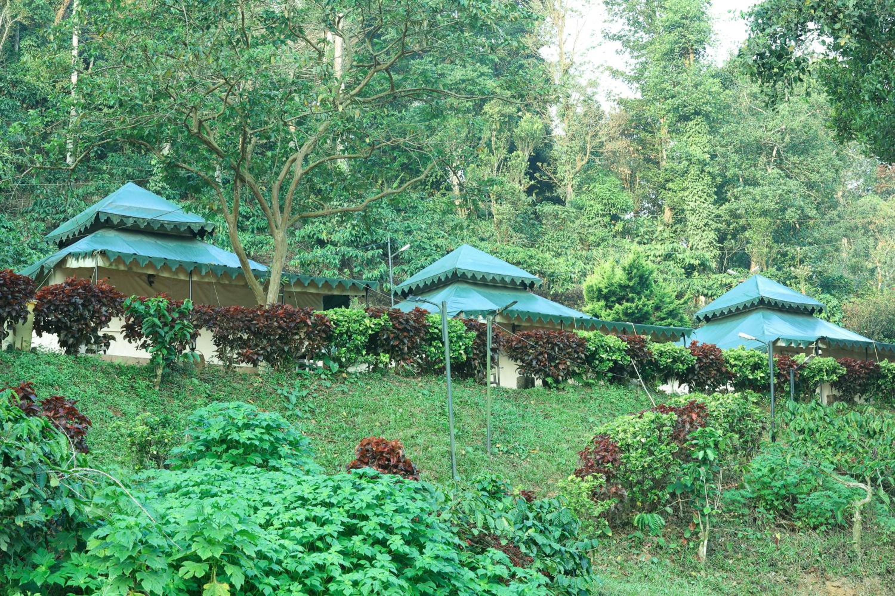Three Hills Resort & Spa, Coorg