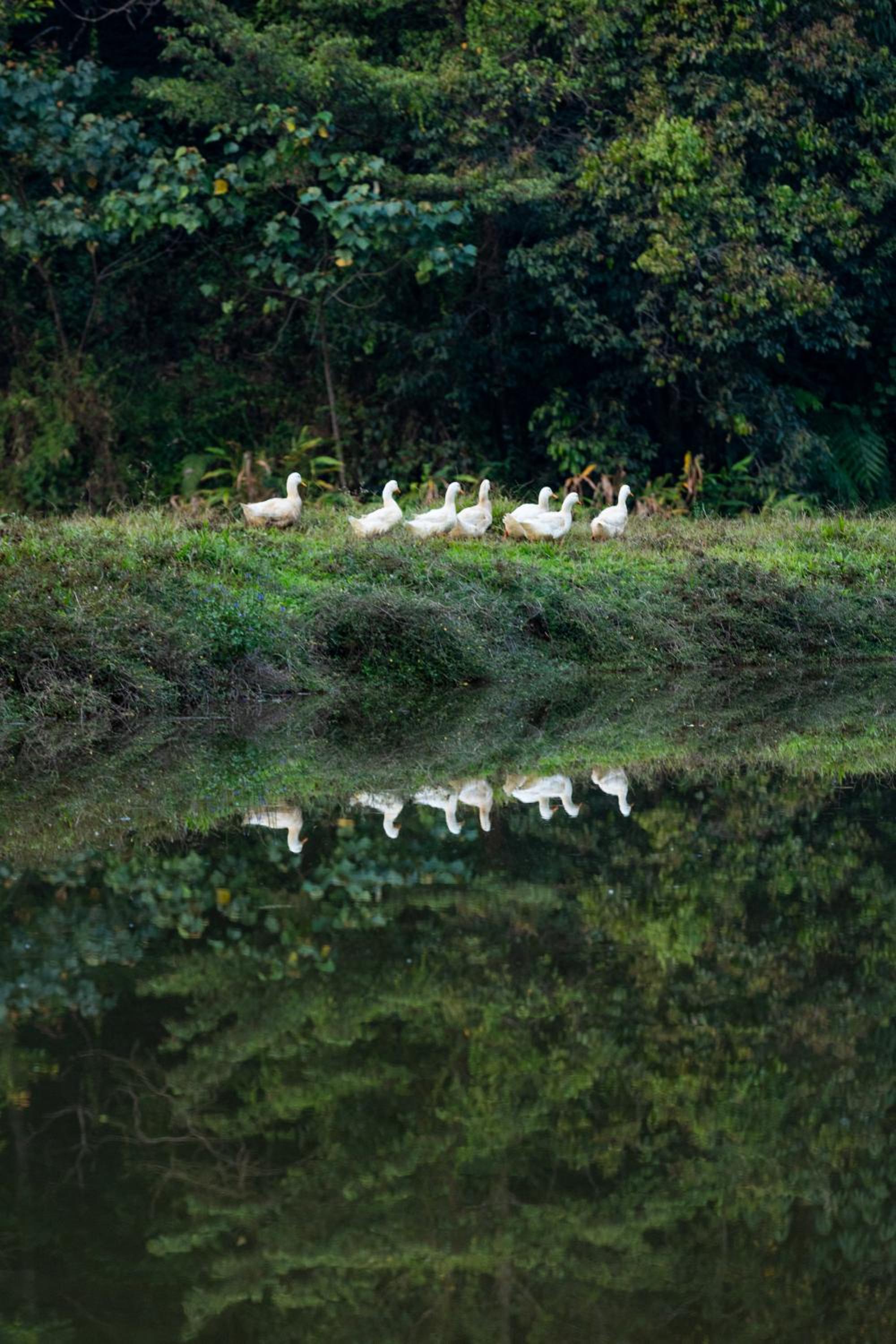 Three Hills Resort & Spa, Coorg