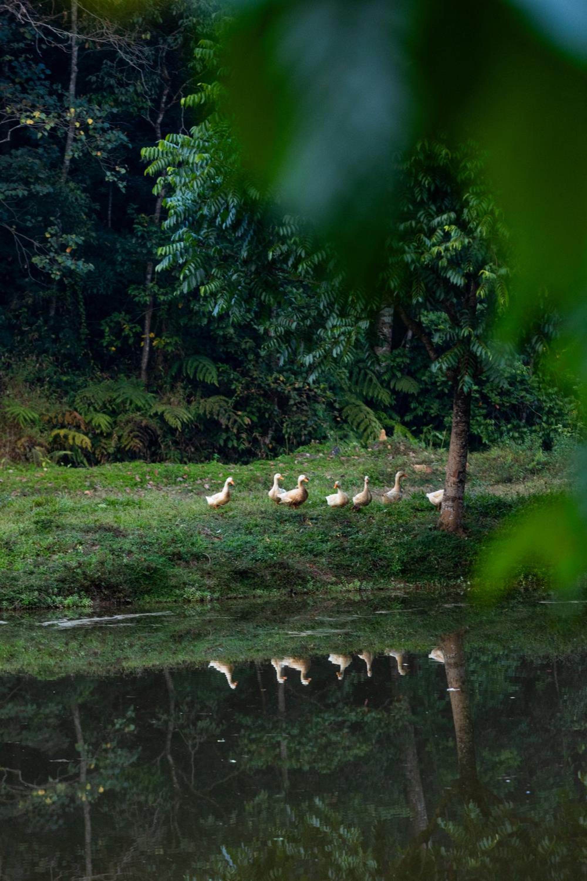 Three Hills Resort & Spa, Coorg