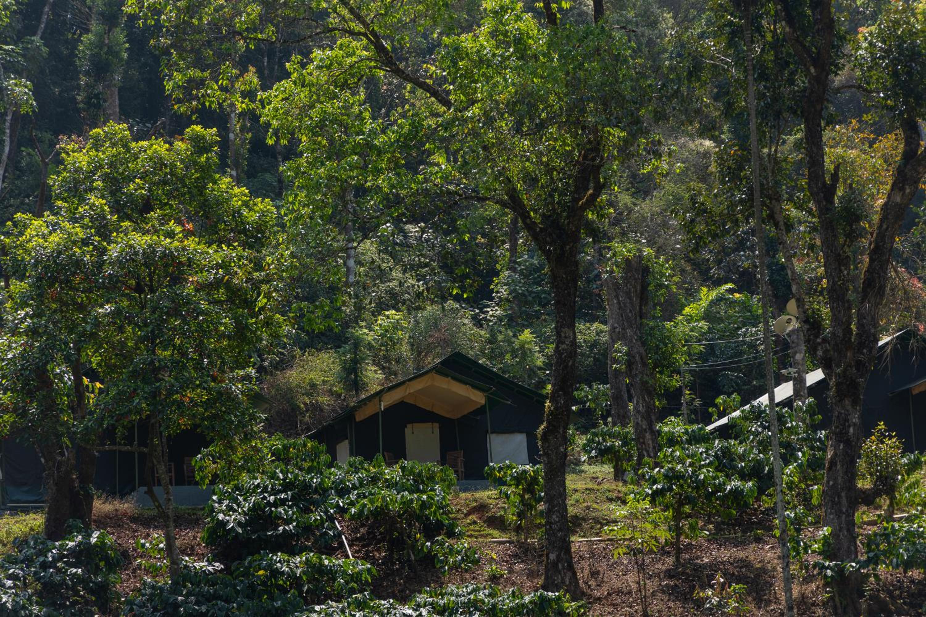 Three Hills Resort & Spa, Coorg
