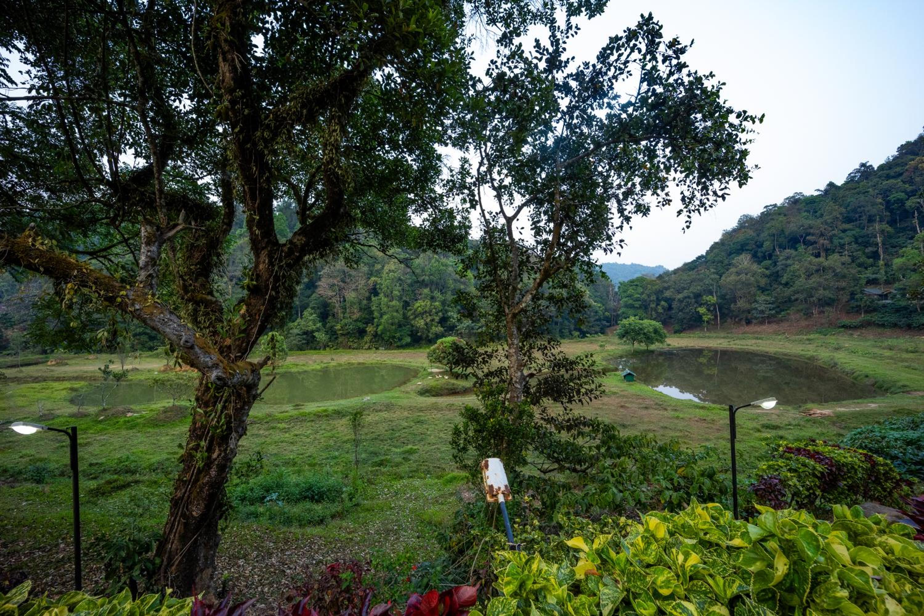 Three Hills Resort & Spa, Coorg