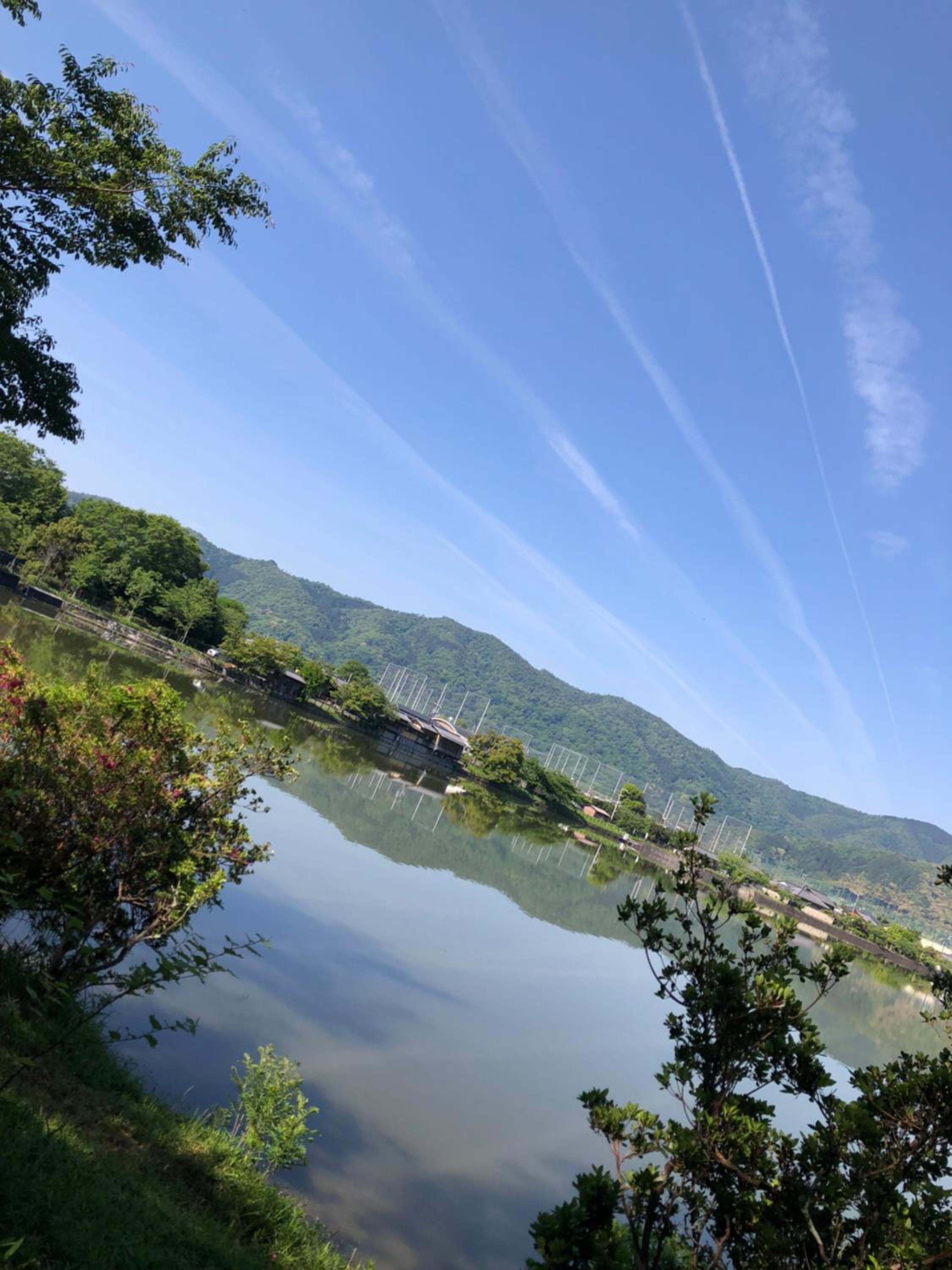 tsubame-ya