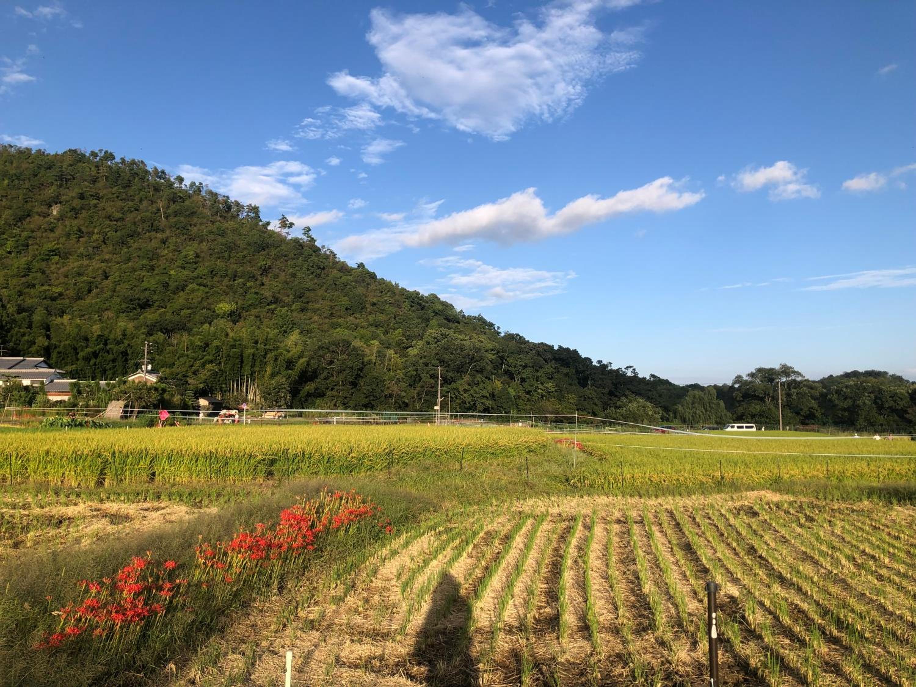 tsubame-ya