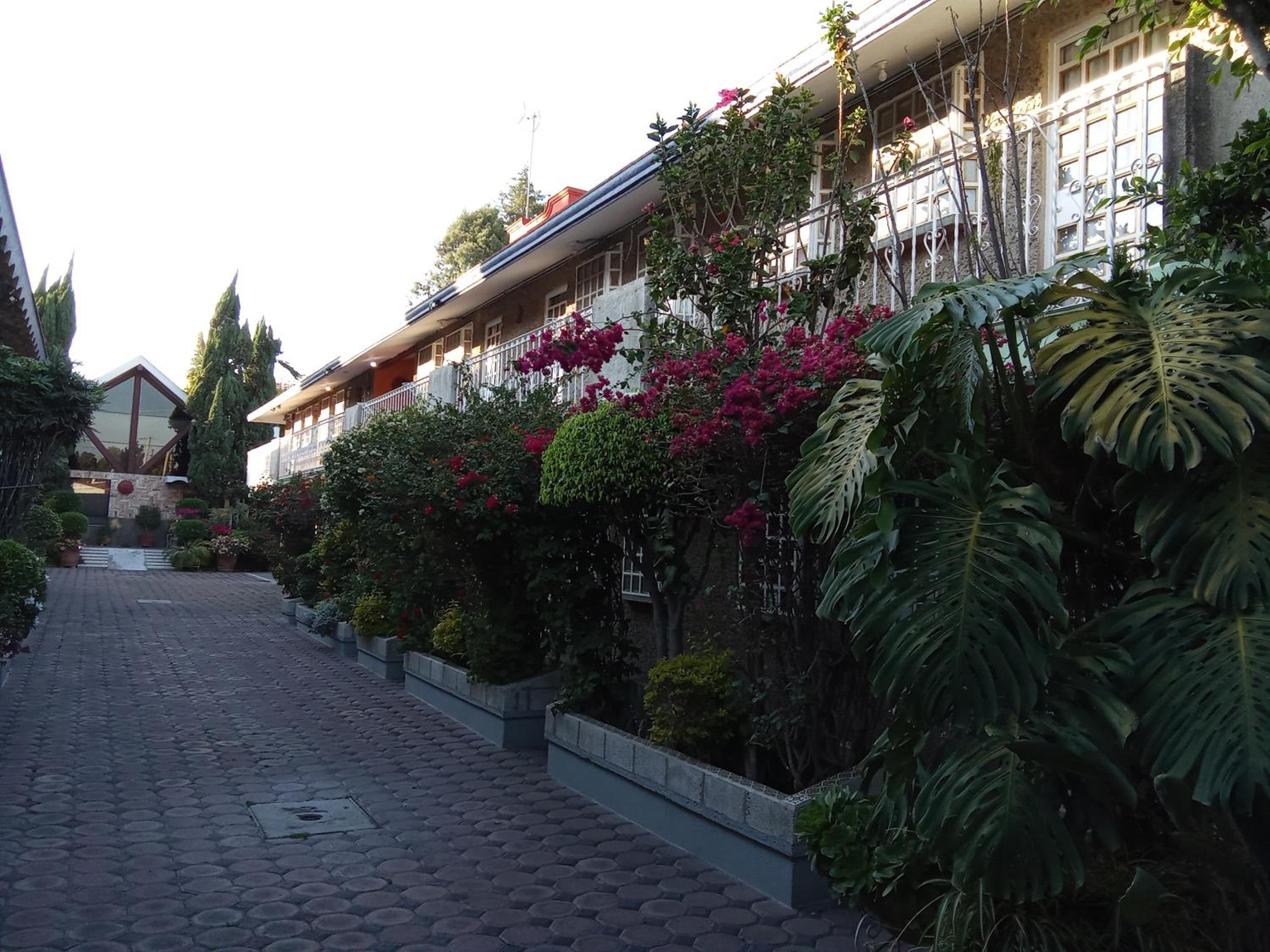 Photo 15