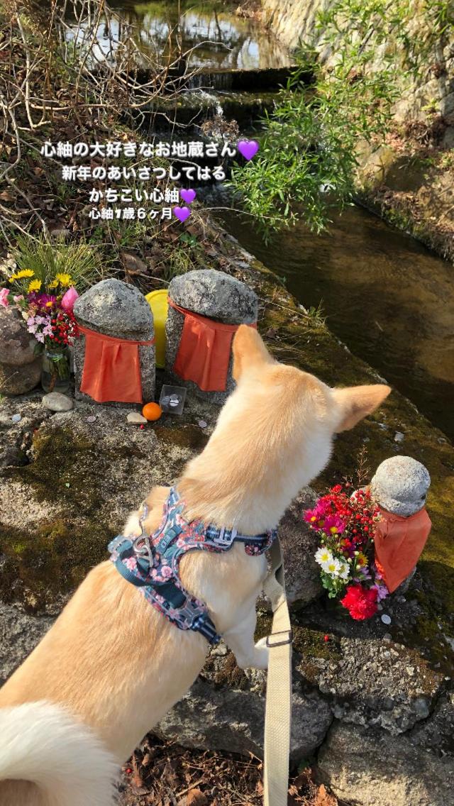 tsubame-ya