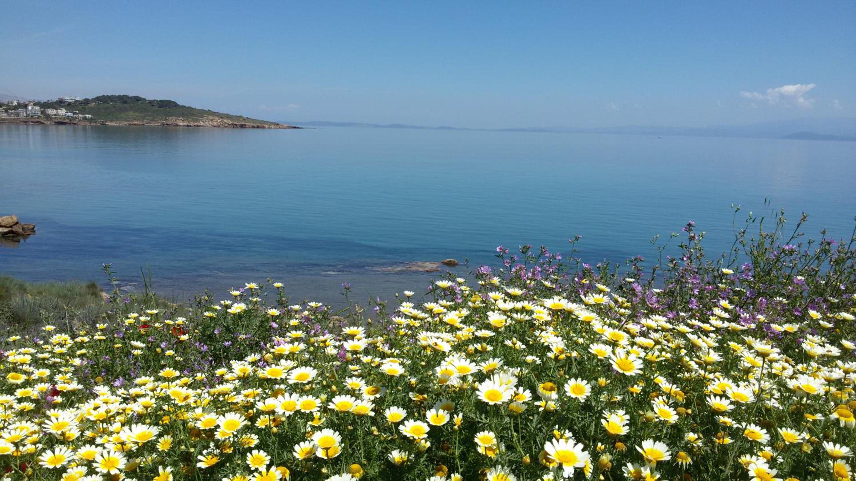 Aegean Bliss Residences - Karfas