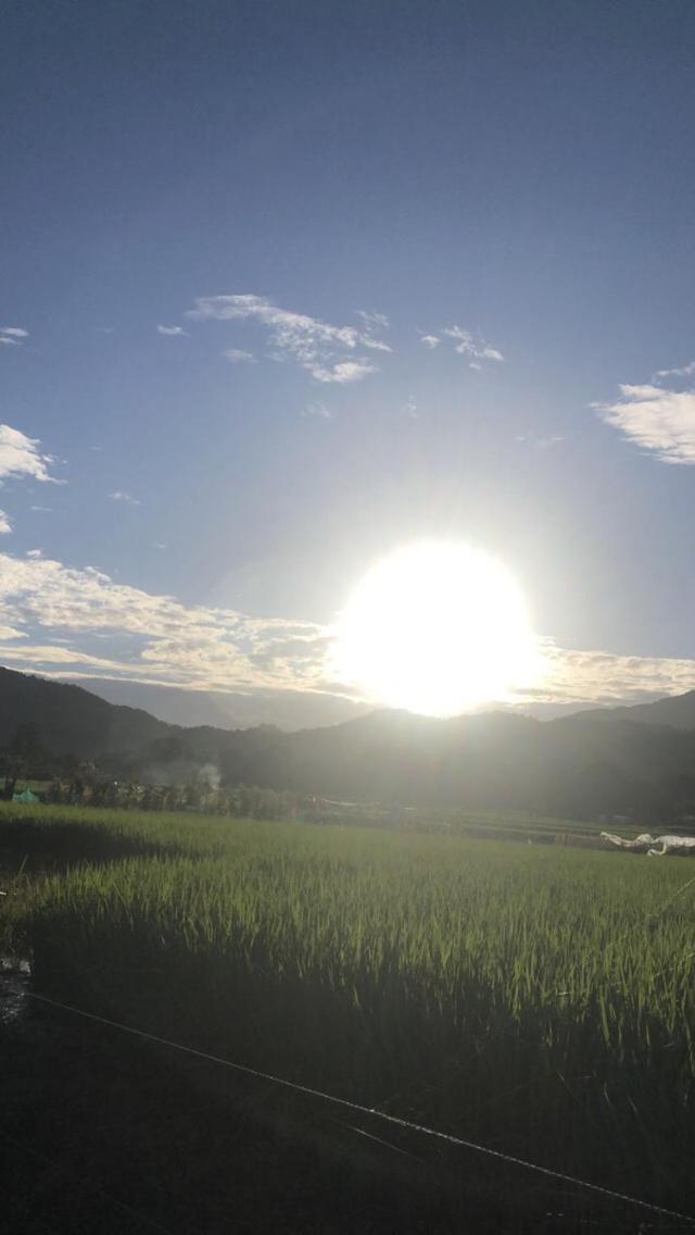 tsubame-ya