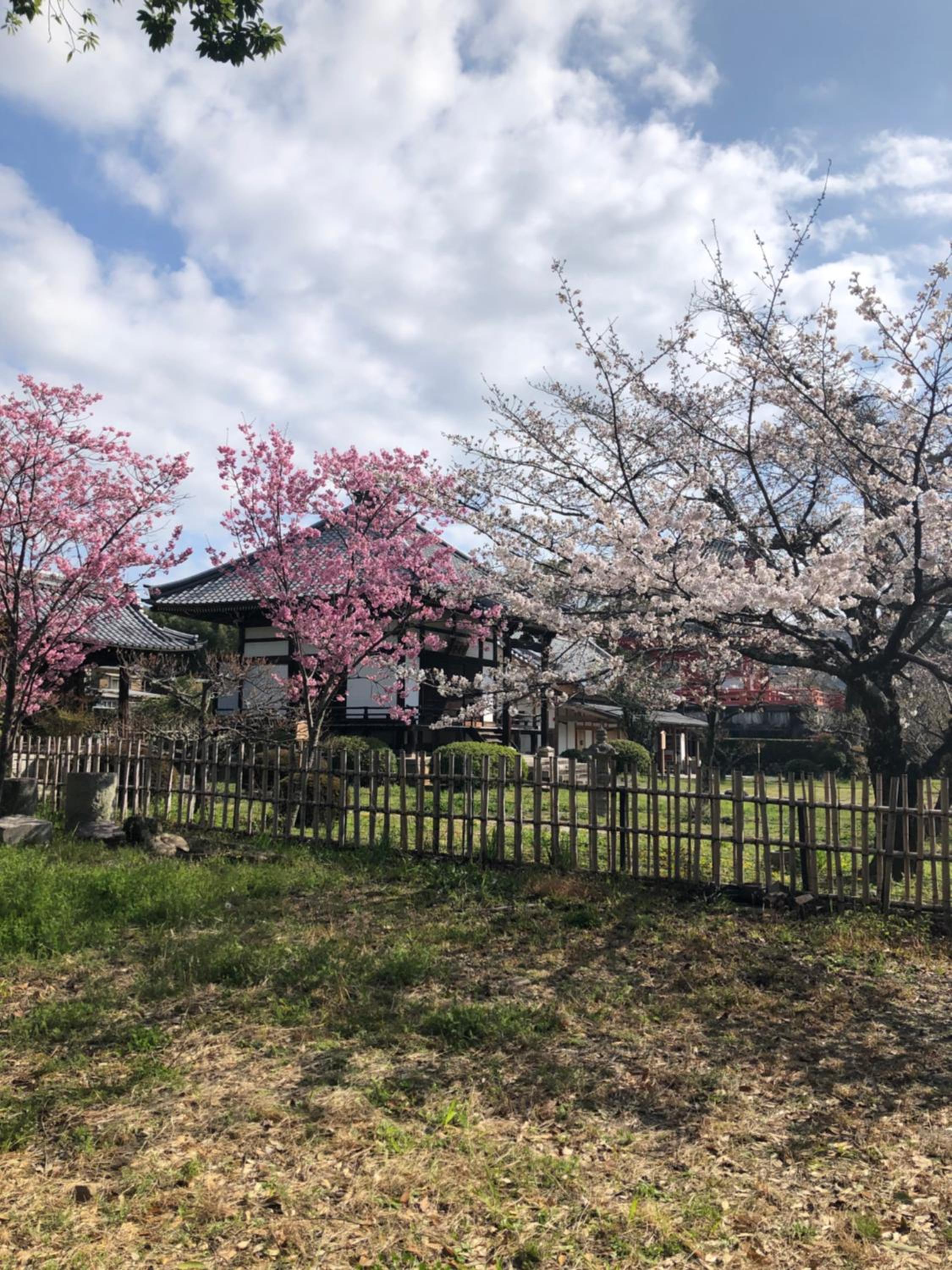 tsubame-ya