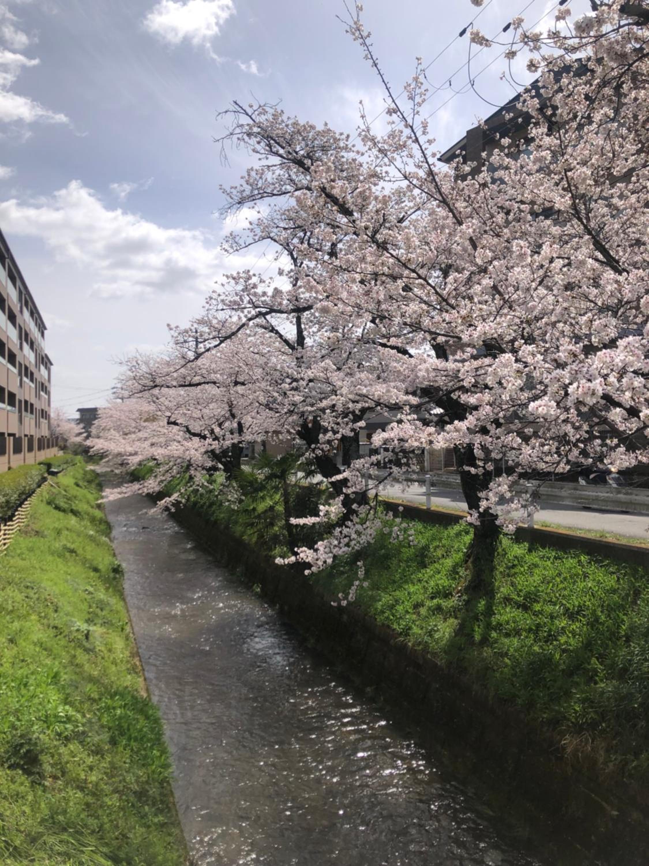 tsubame-ya