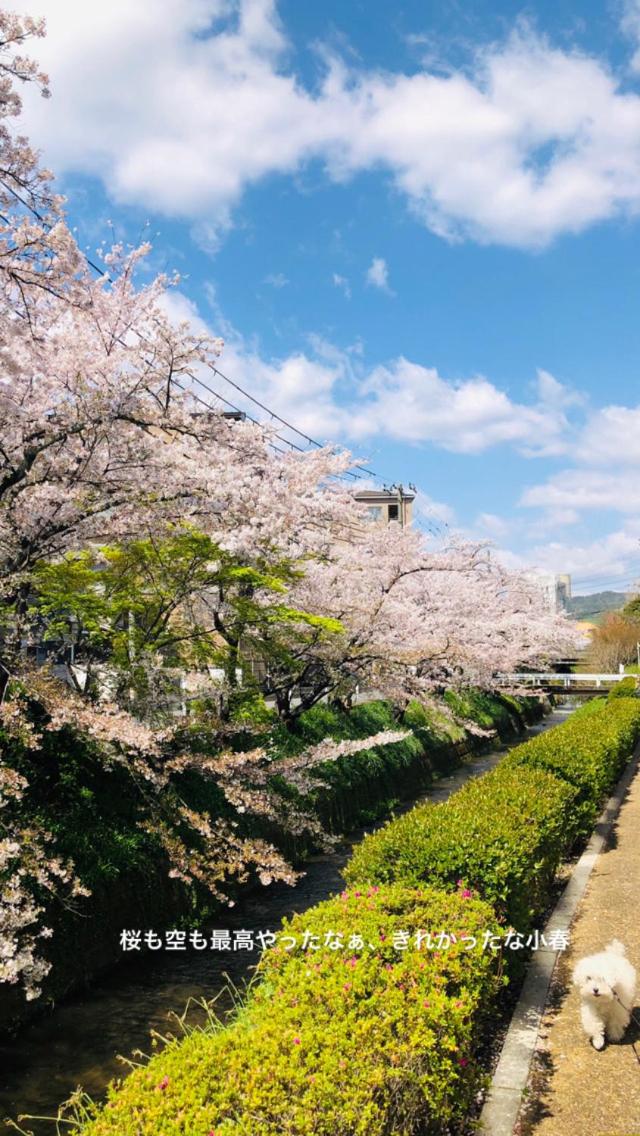 tsubame-ya