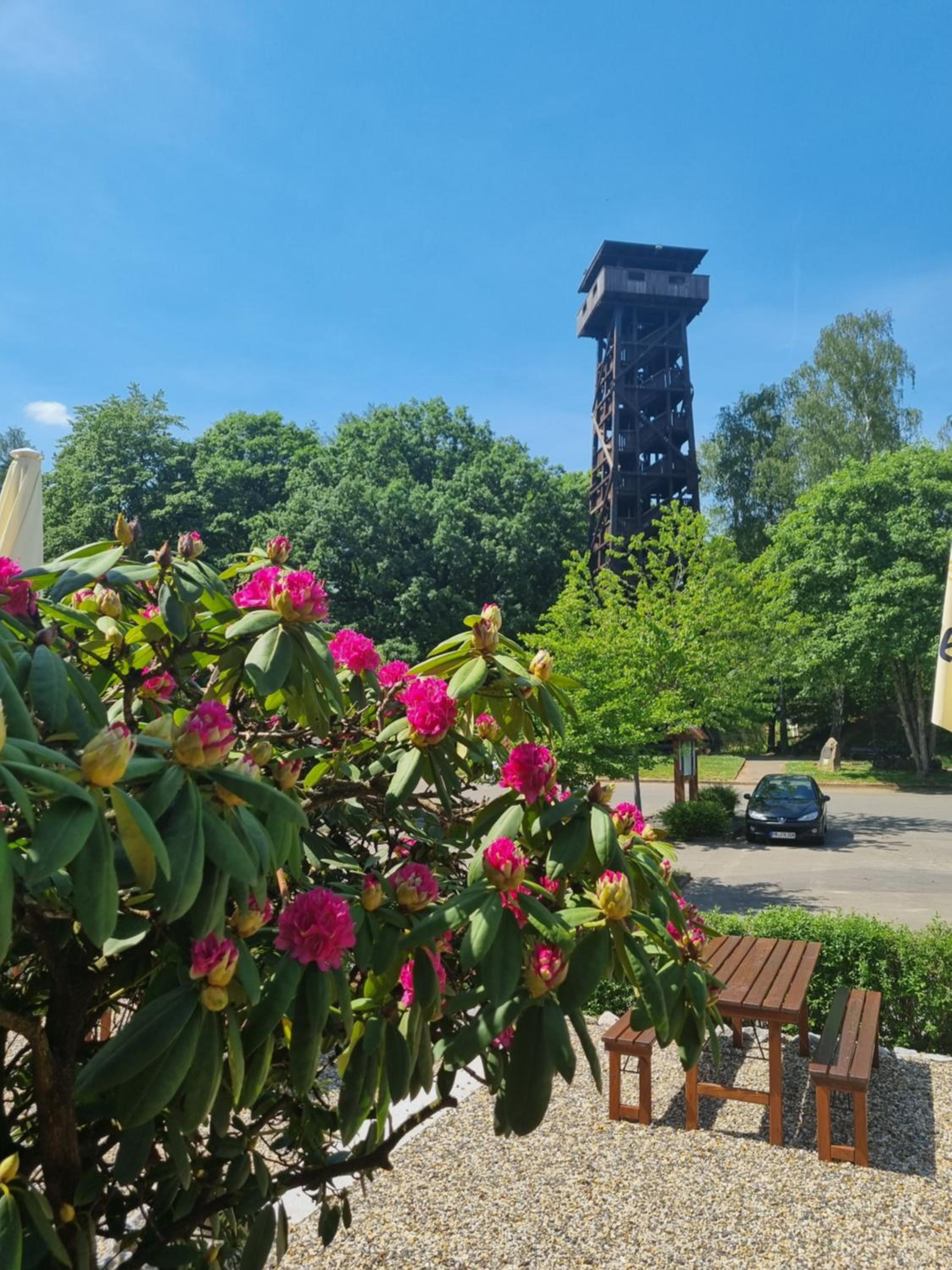 Waldhotel am Turm