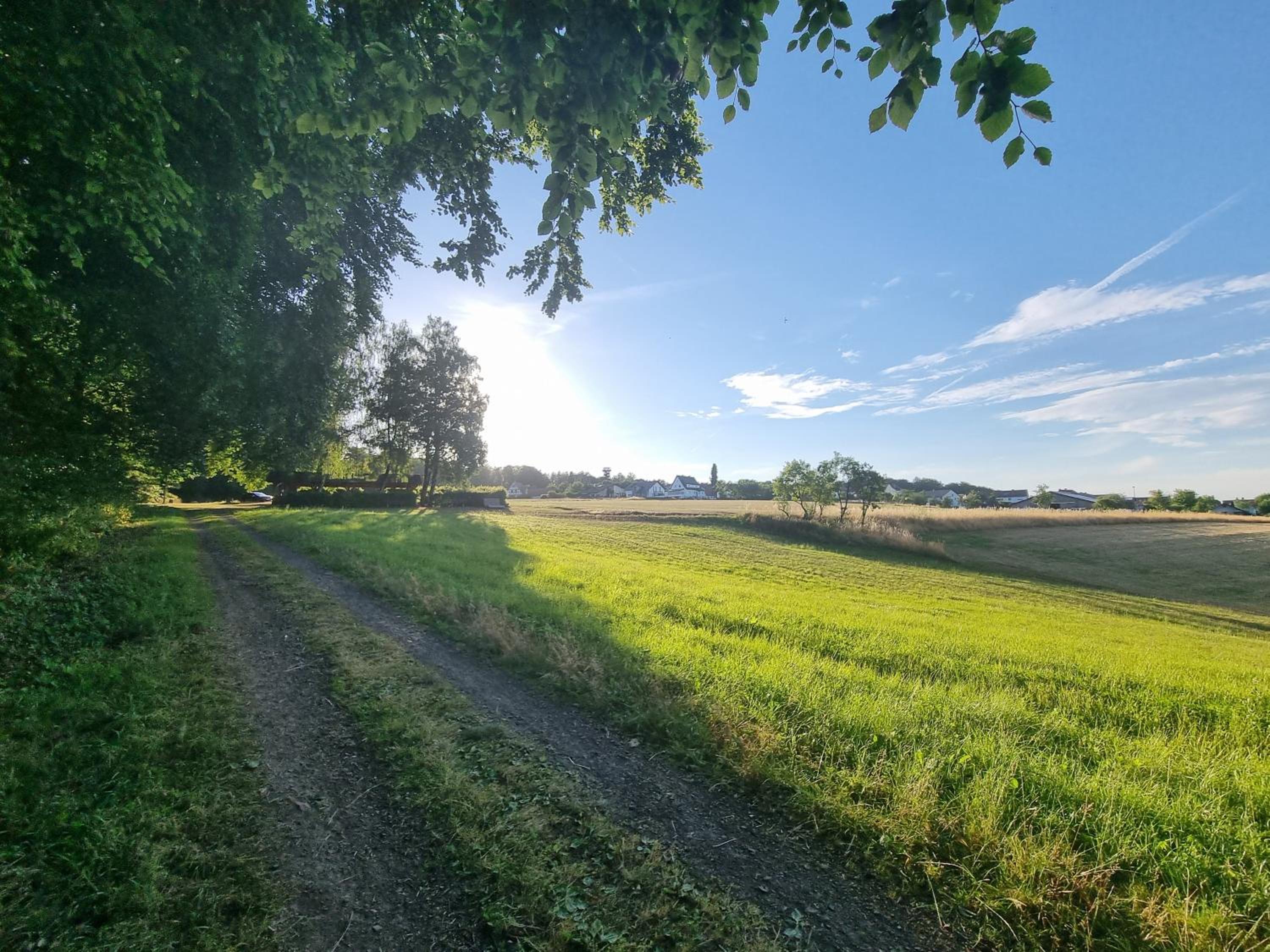 Waldhotel am Turm