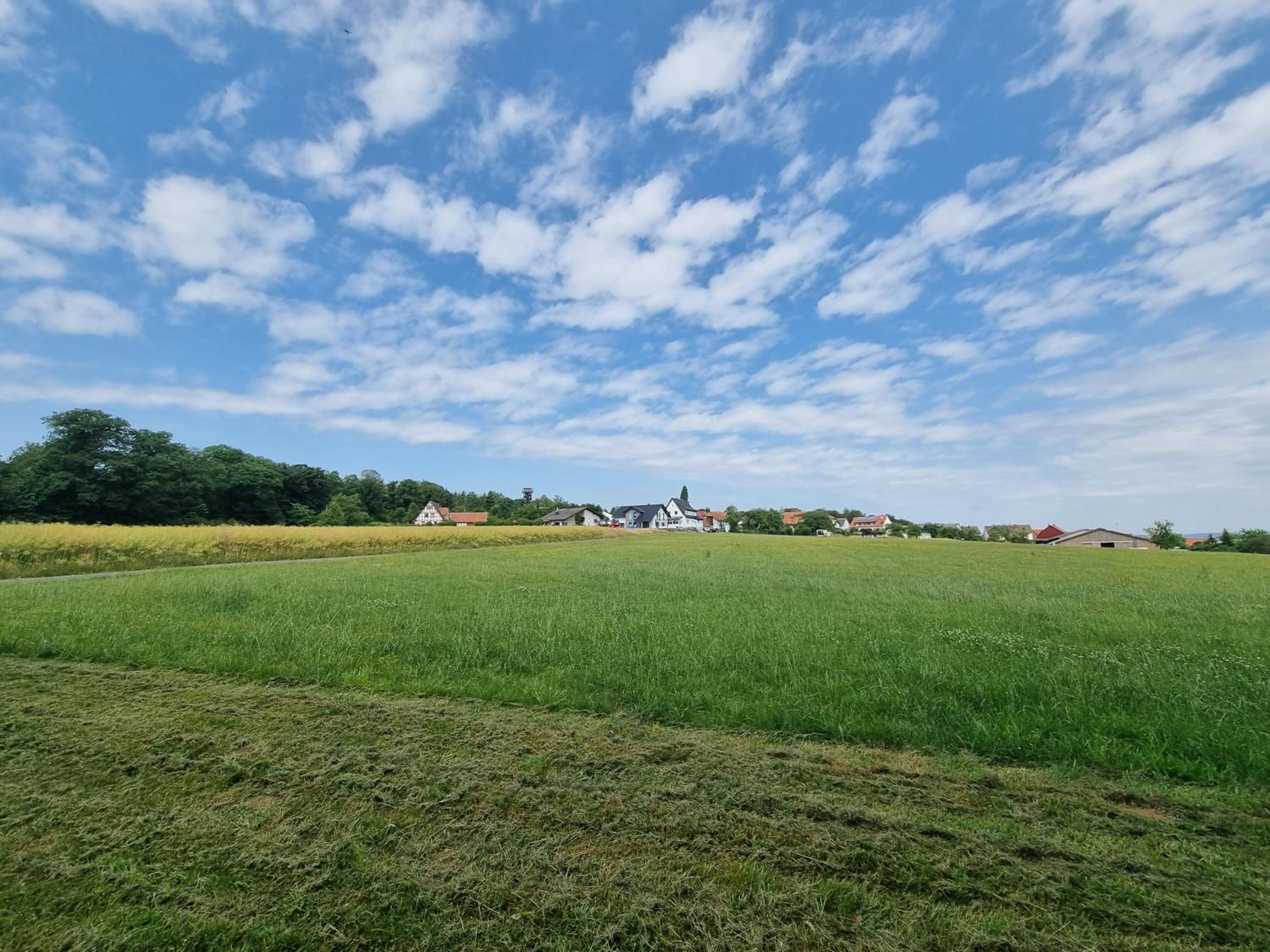 Waldhotel am Turm