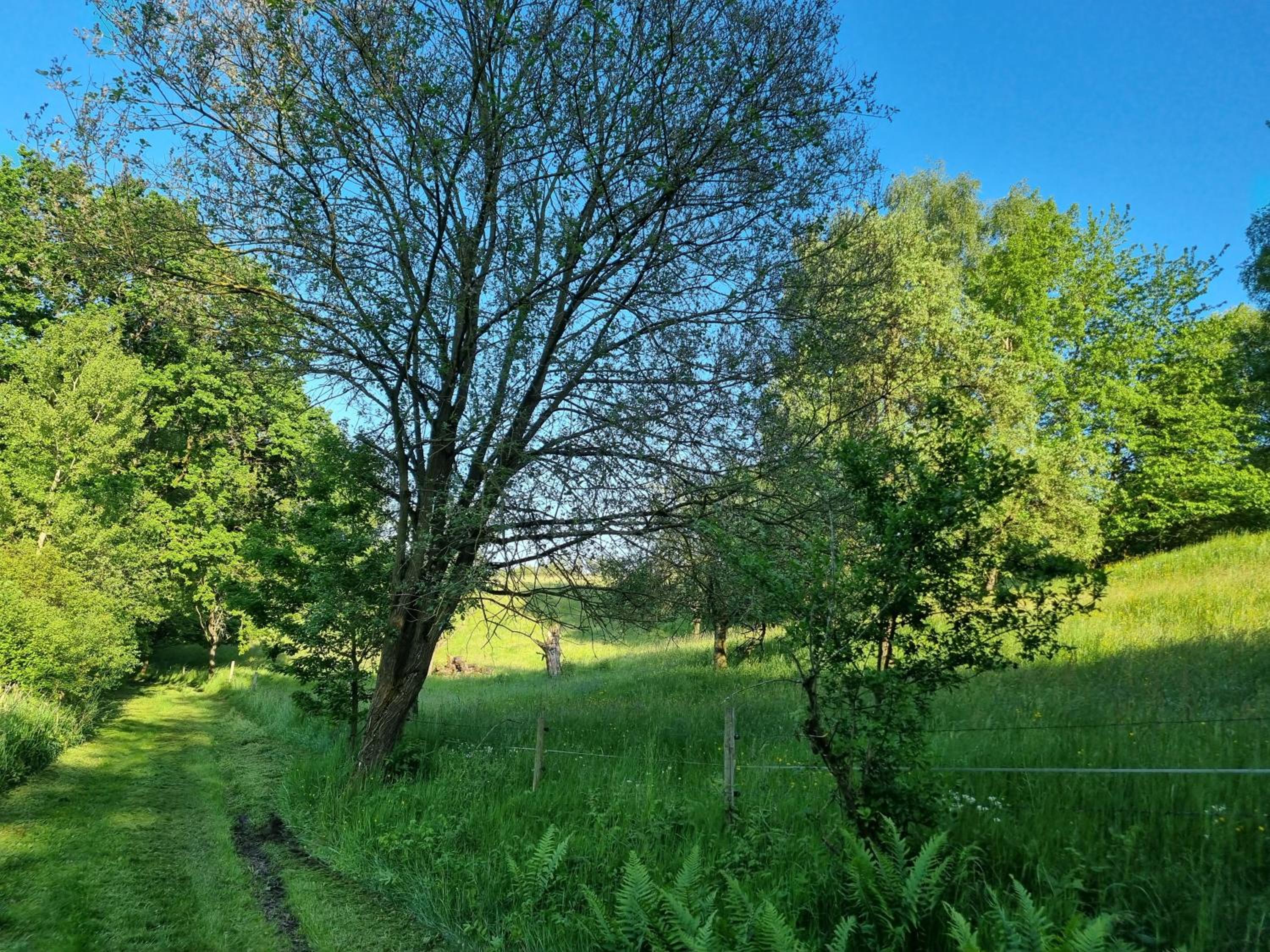 Waldhotel am Turm