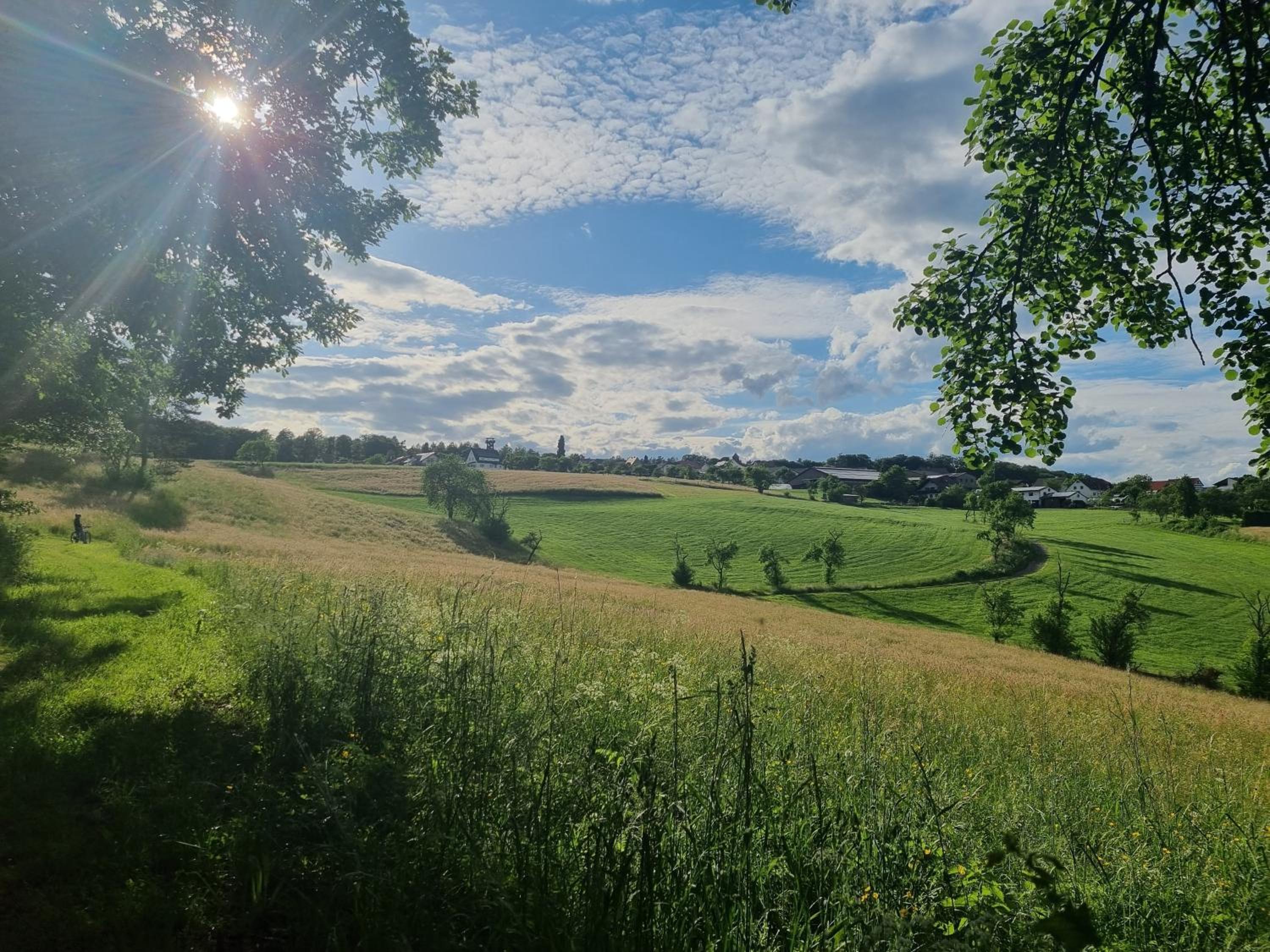 Waldhotel am Turm