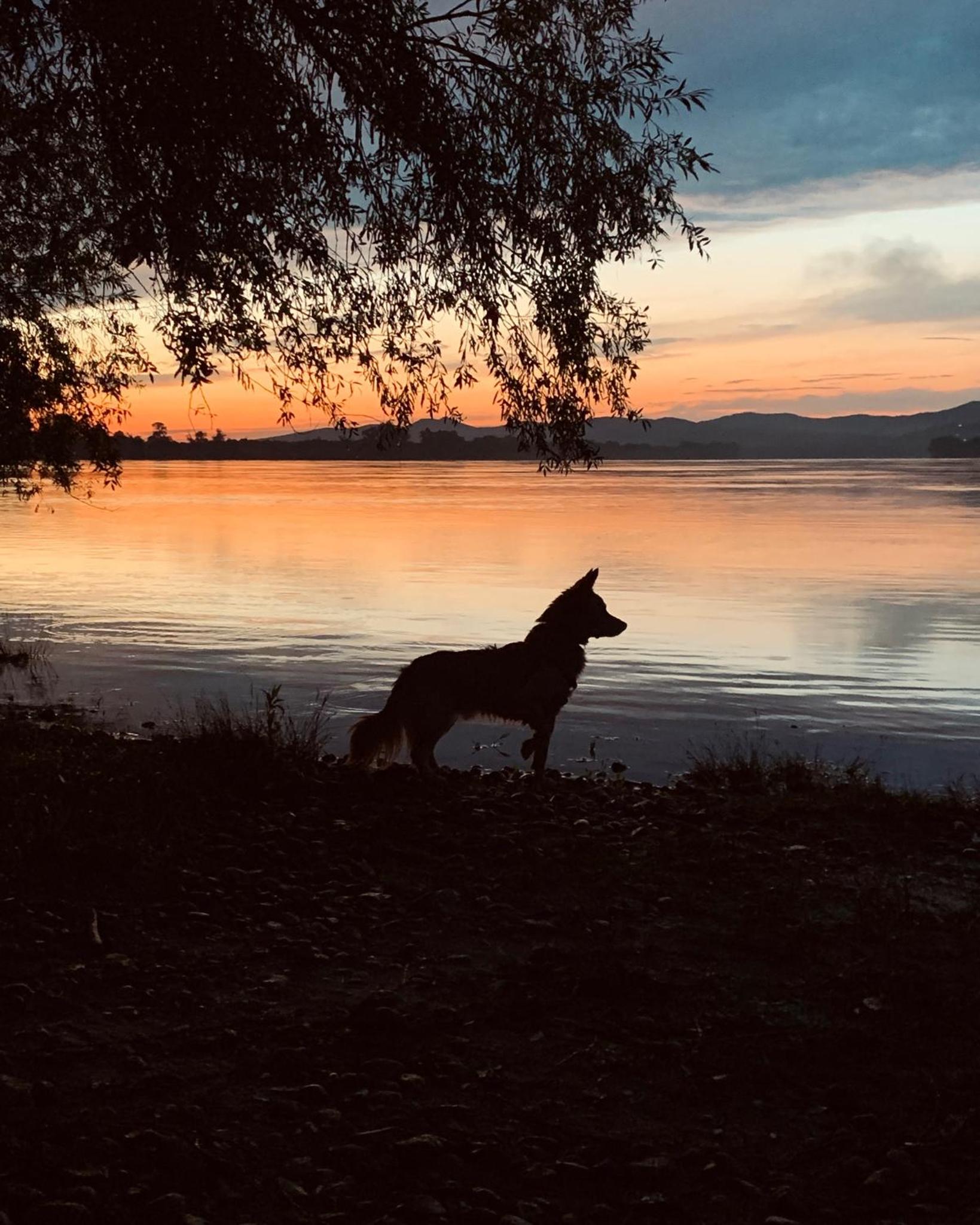 Dömös Cube - kiadó nyaraló kilátással a Dunakanyarra