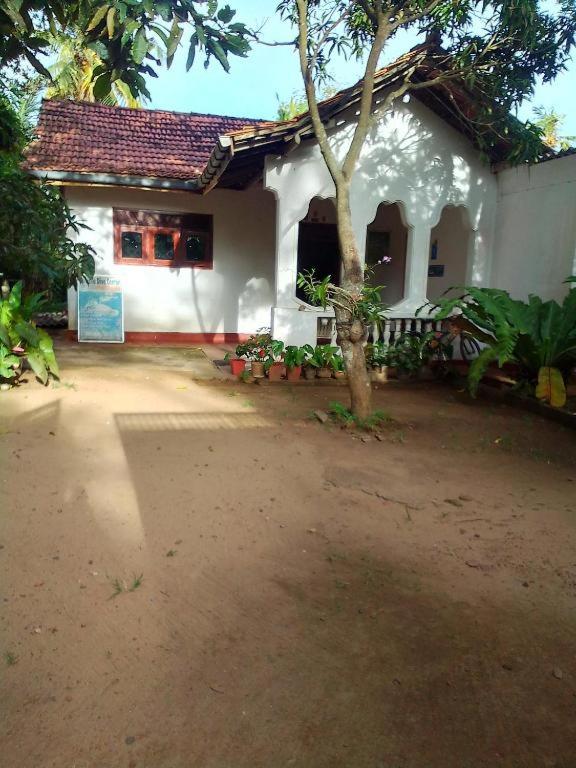 A . PIUMI TOURS & GUEST HOUSE