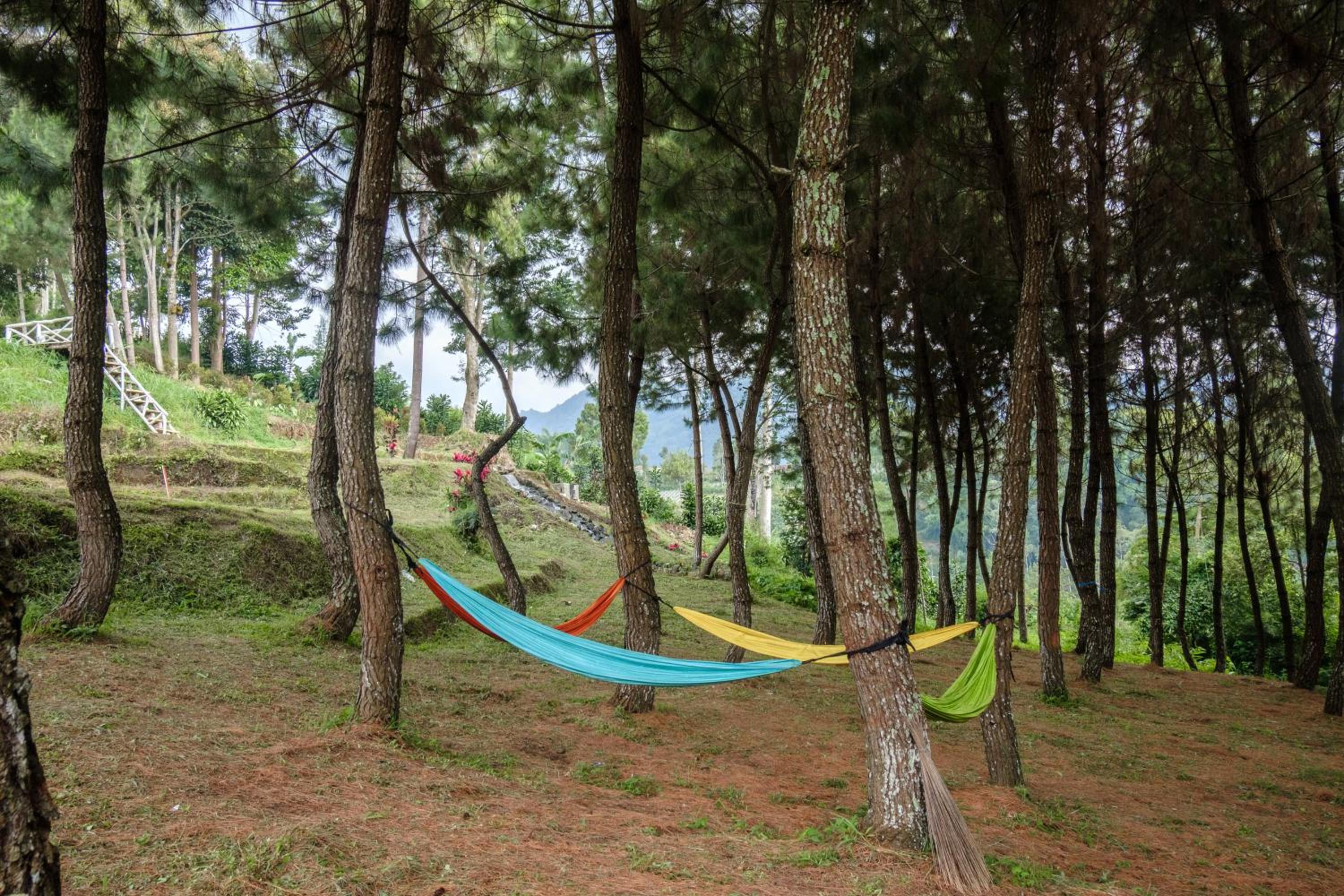 Hilltop Camp, Lembang view 2