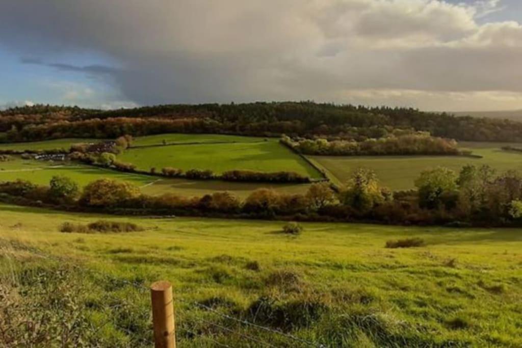 Guildford Vacations - Self-contained Guest Suite - Property Image 6