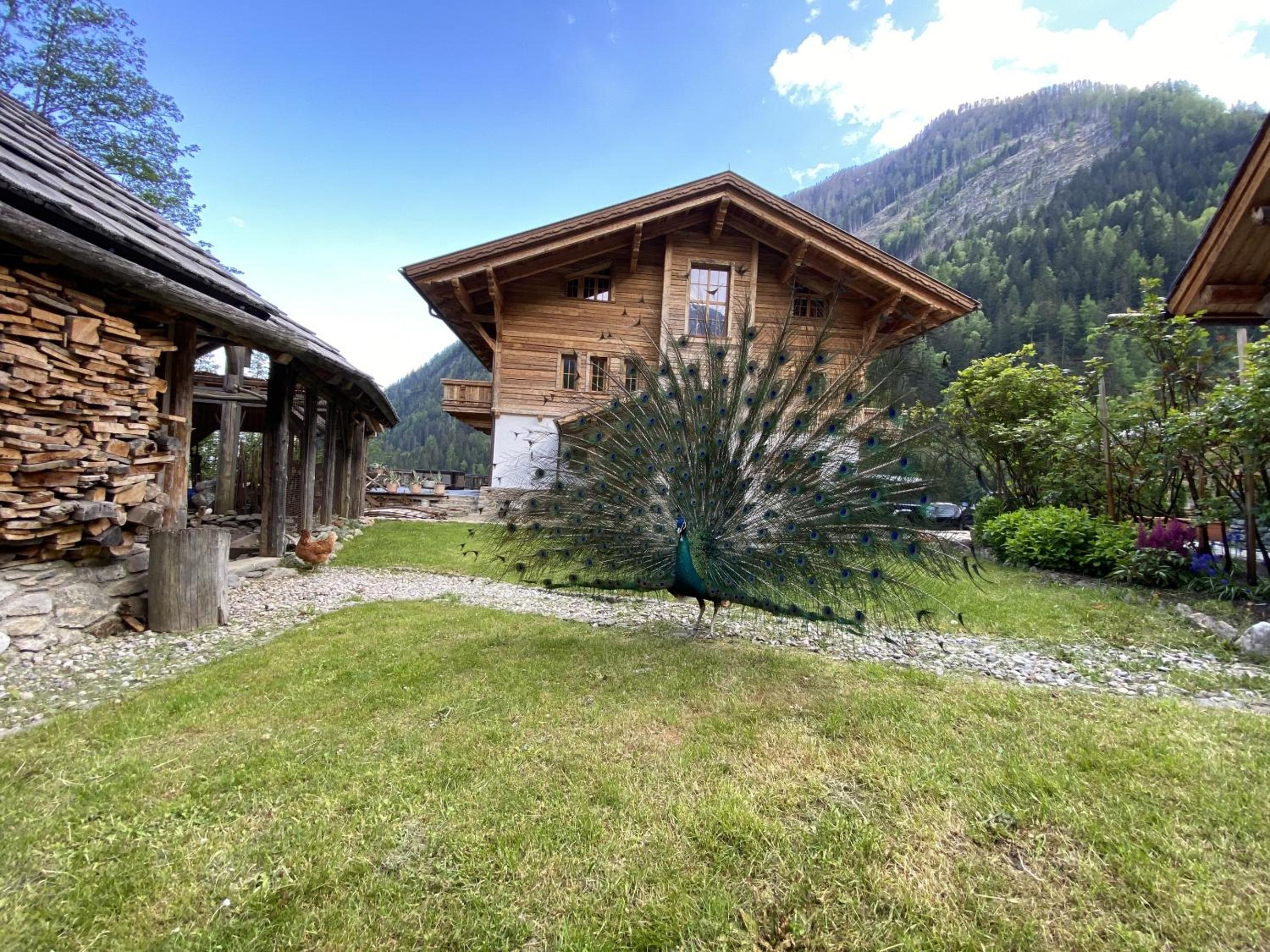 Grand Chalet