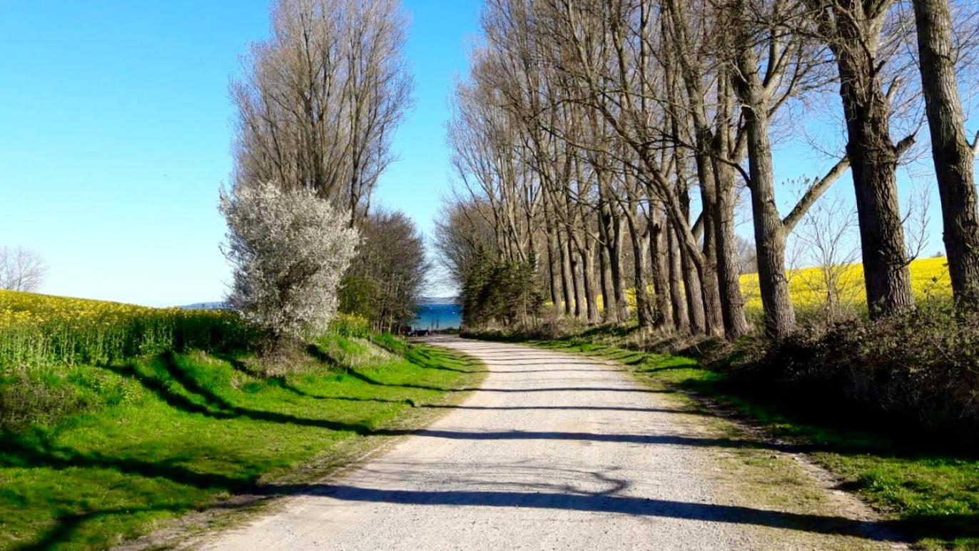 StrandGlück