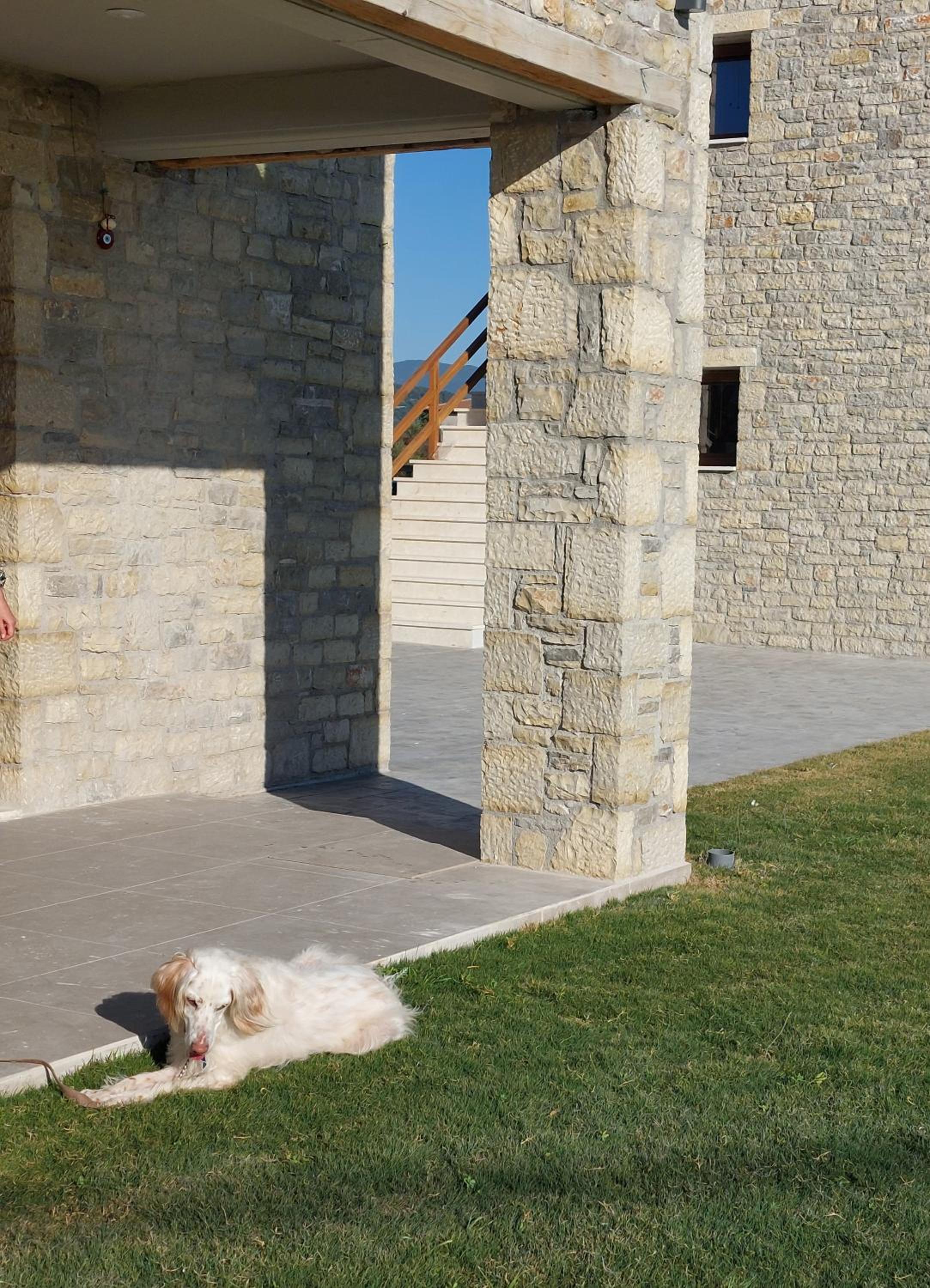 Photo 47