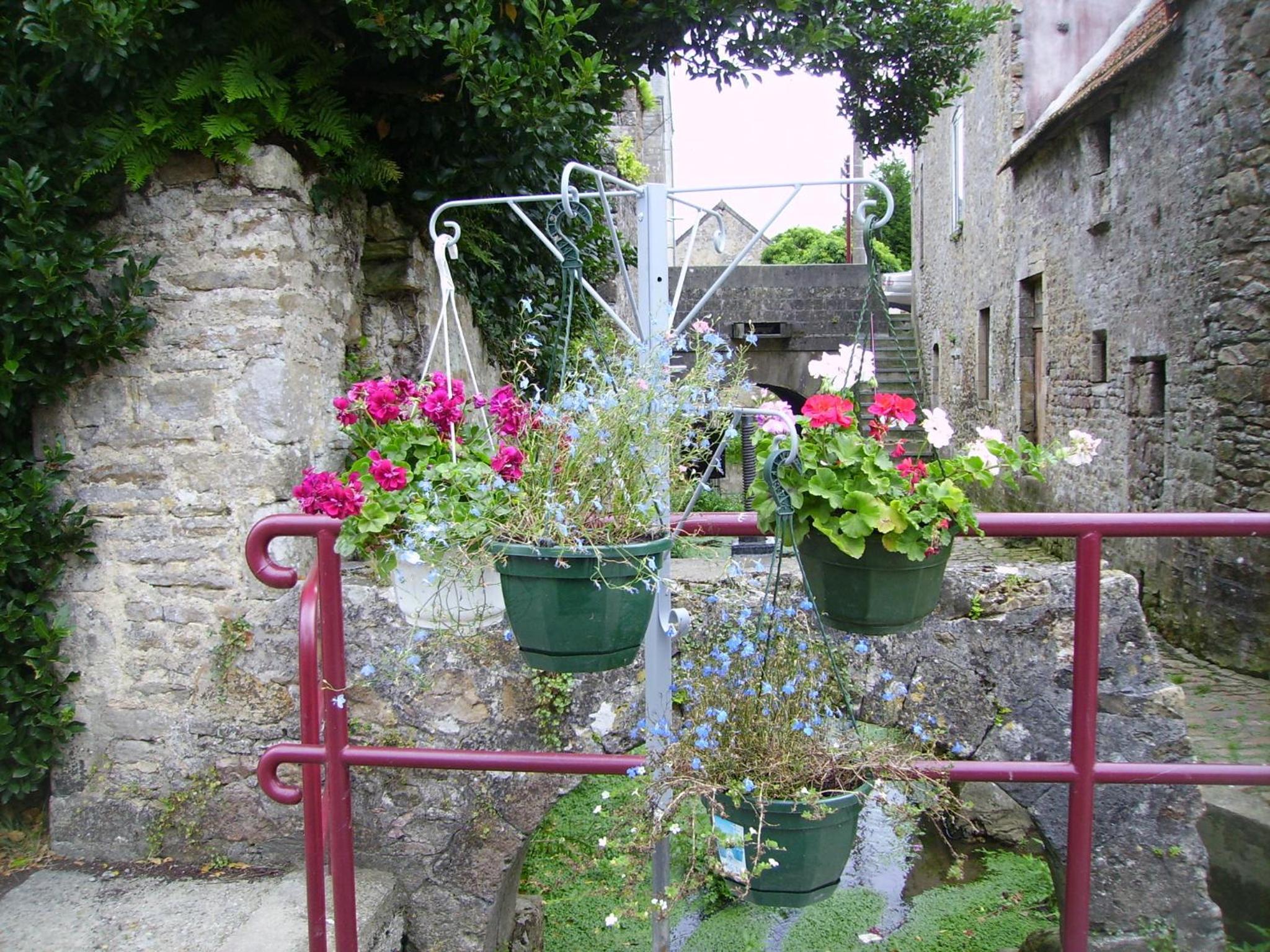 Photo 17