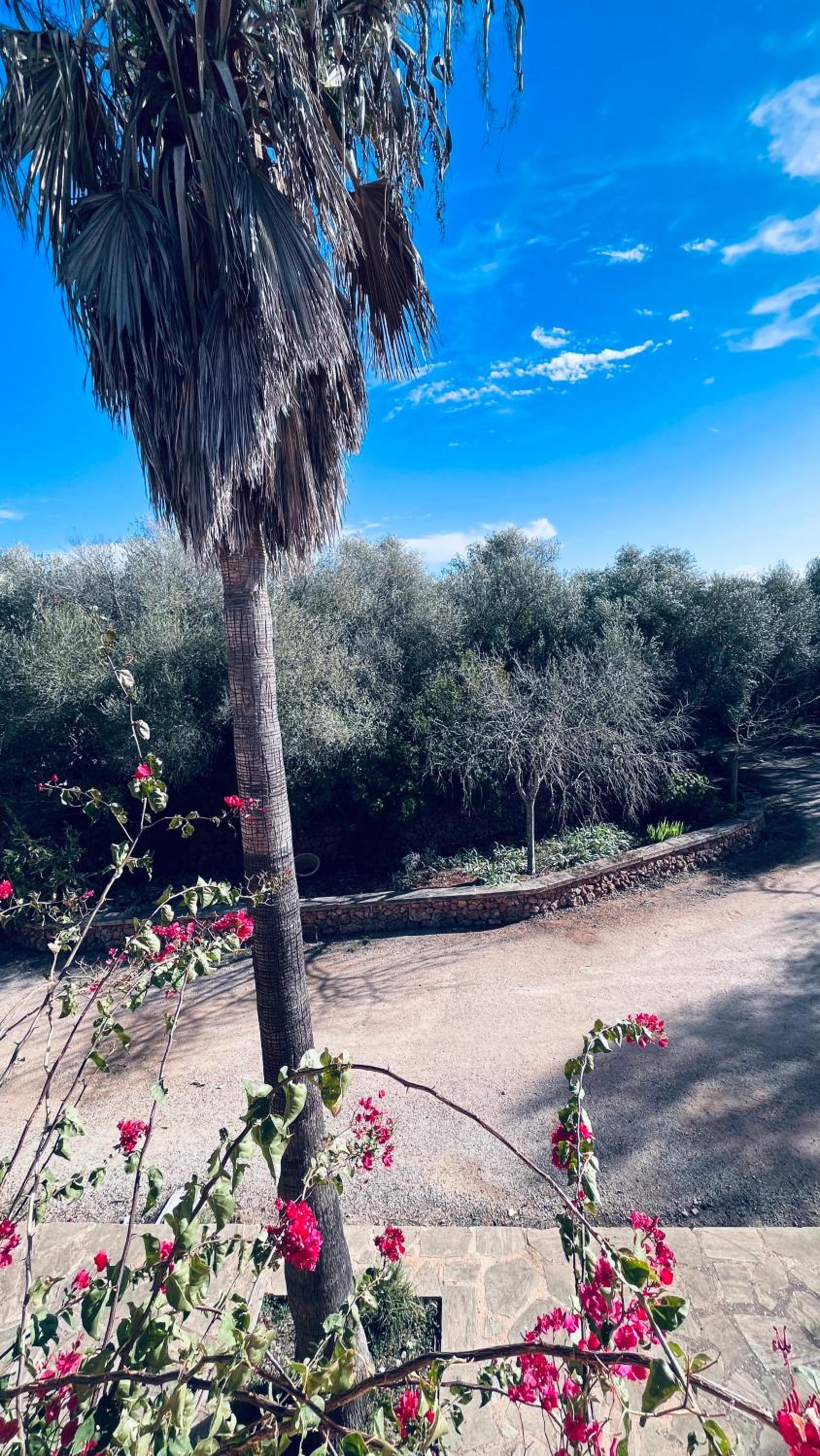 VILLA ES REVELLAR
