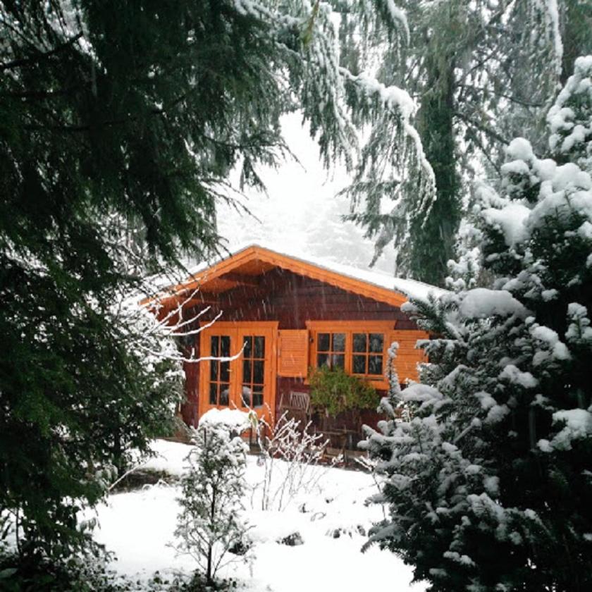 Bed En - of zonder - Breakfast Putten view 3
