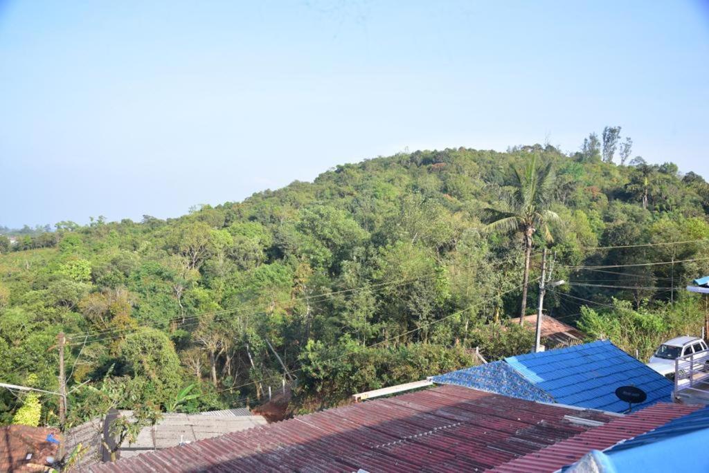 Dev's Mansion