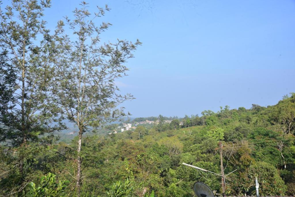 Dev's Mansion