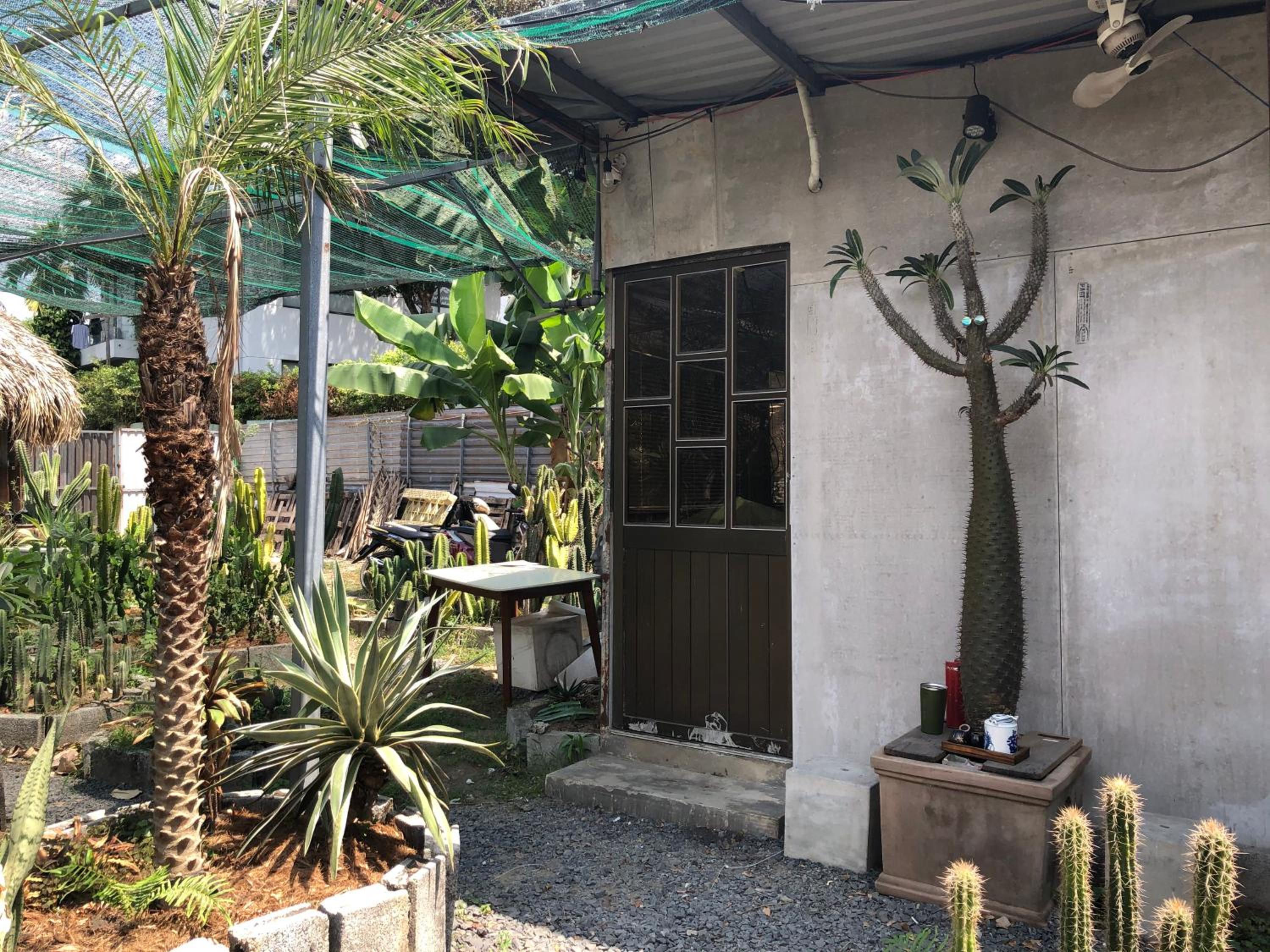 Cactos Chill & Homestay
