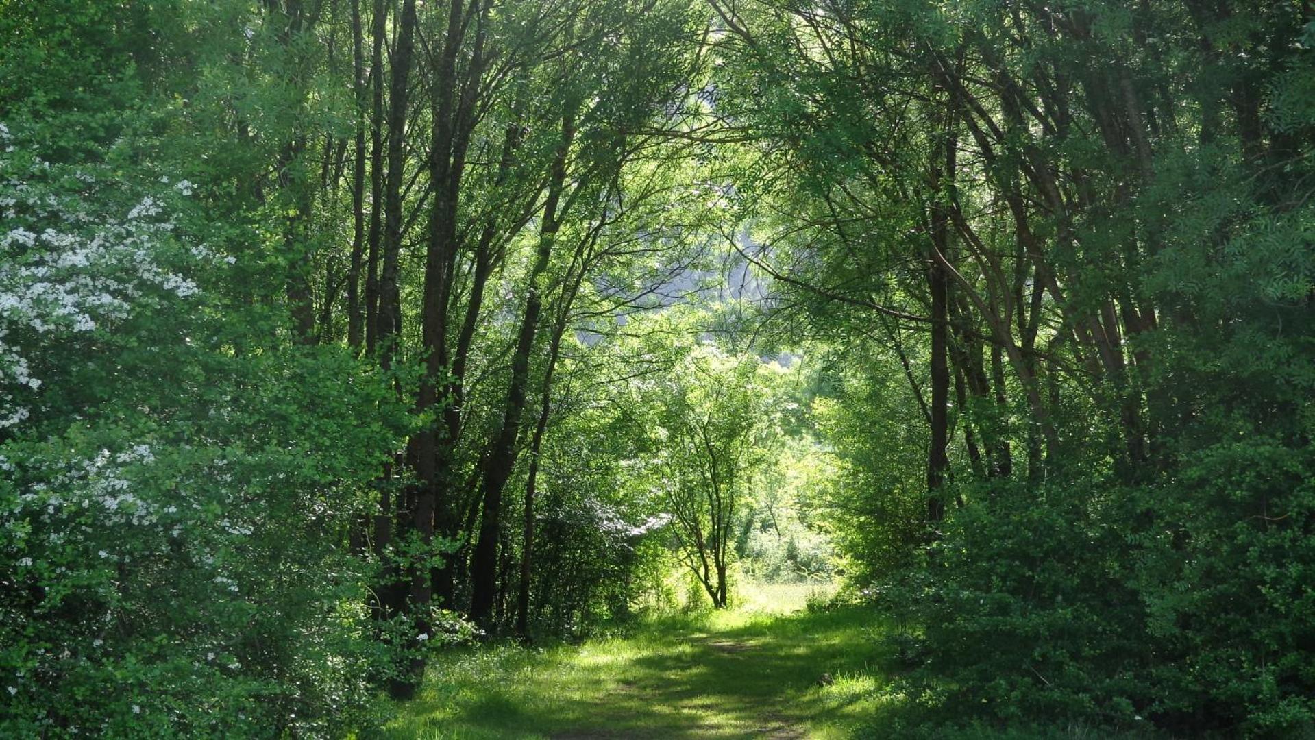 Retiro do Bosque Country House
