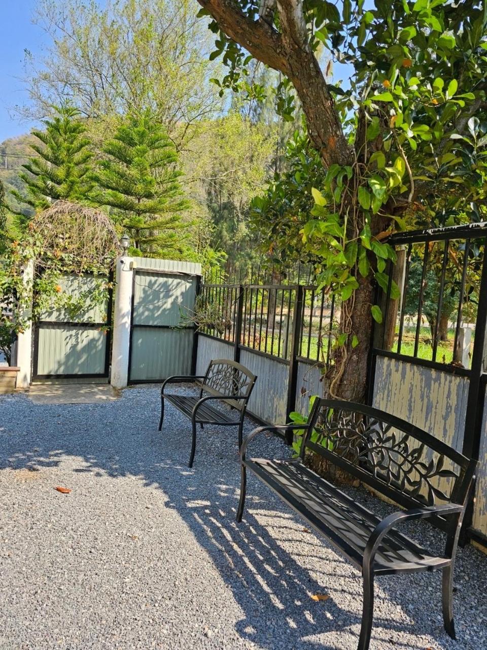 Photo 12