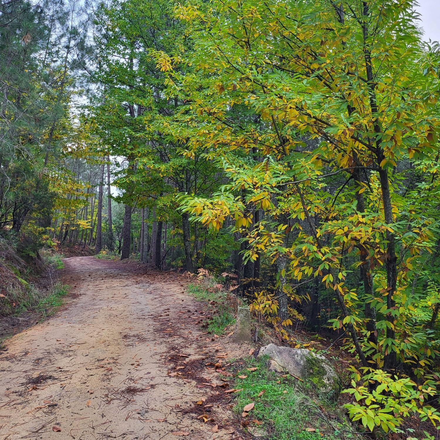 Apartamento Parque Gredos