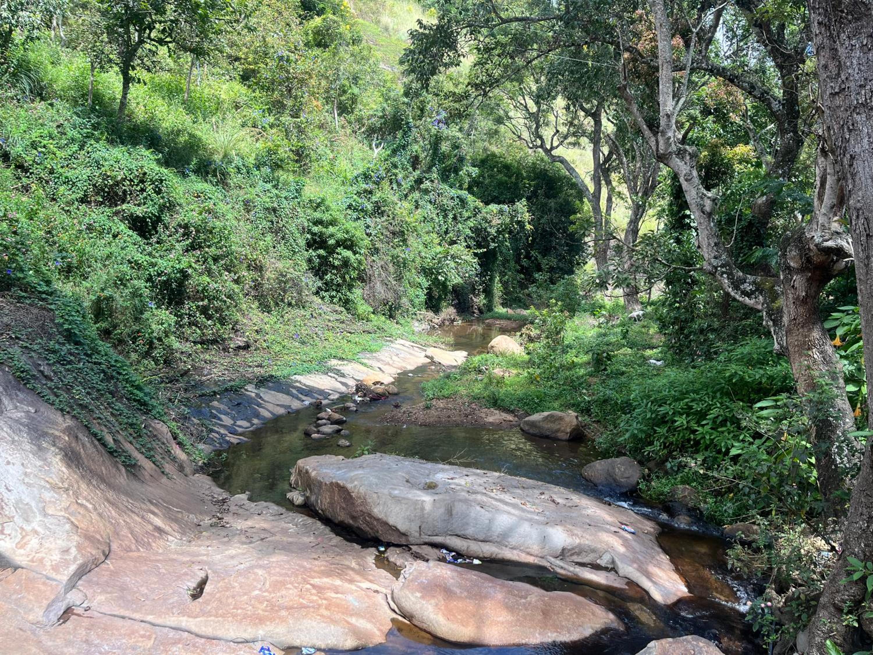 Zacs Valley Resort & Wellness Retreat Kodaikanal