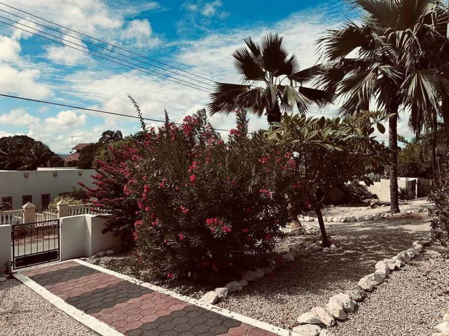 Casa Leonore II