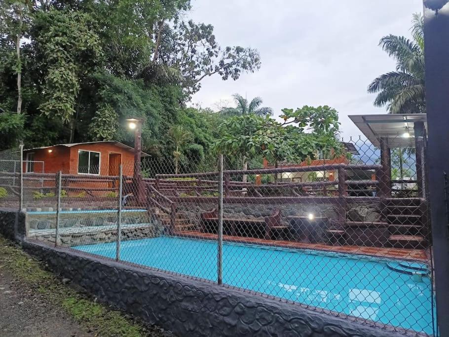 Palmerai BUCAY