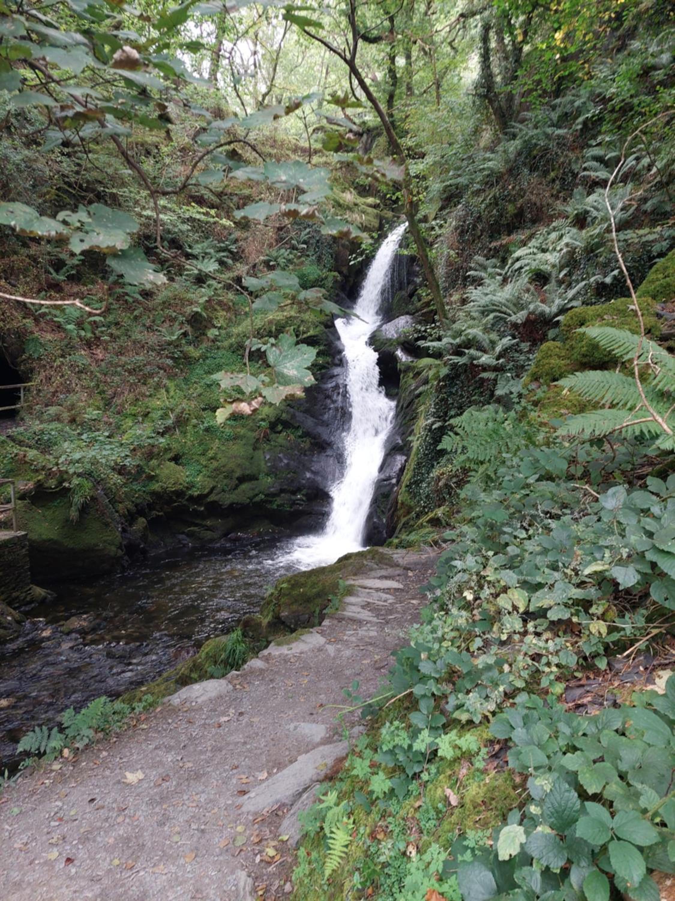Photo 21
