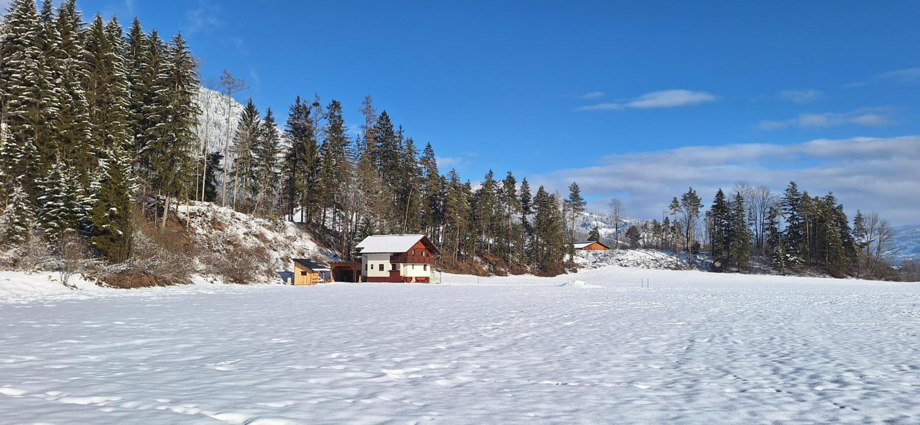 Chalet Lärchforst
